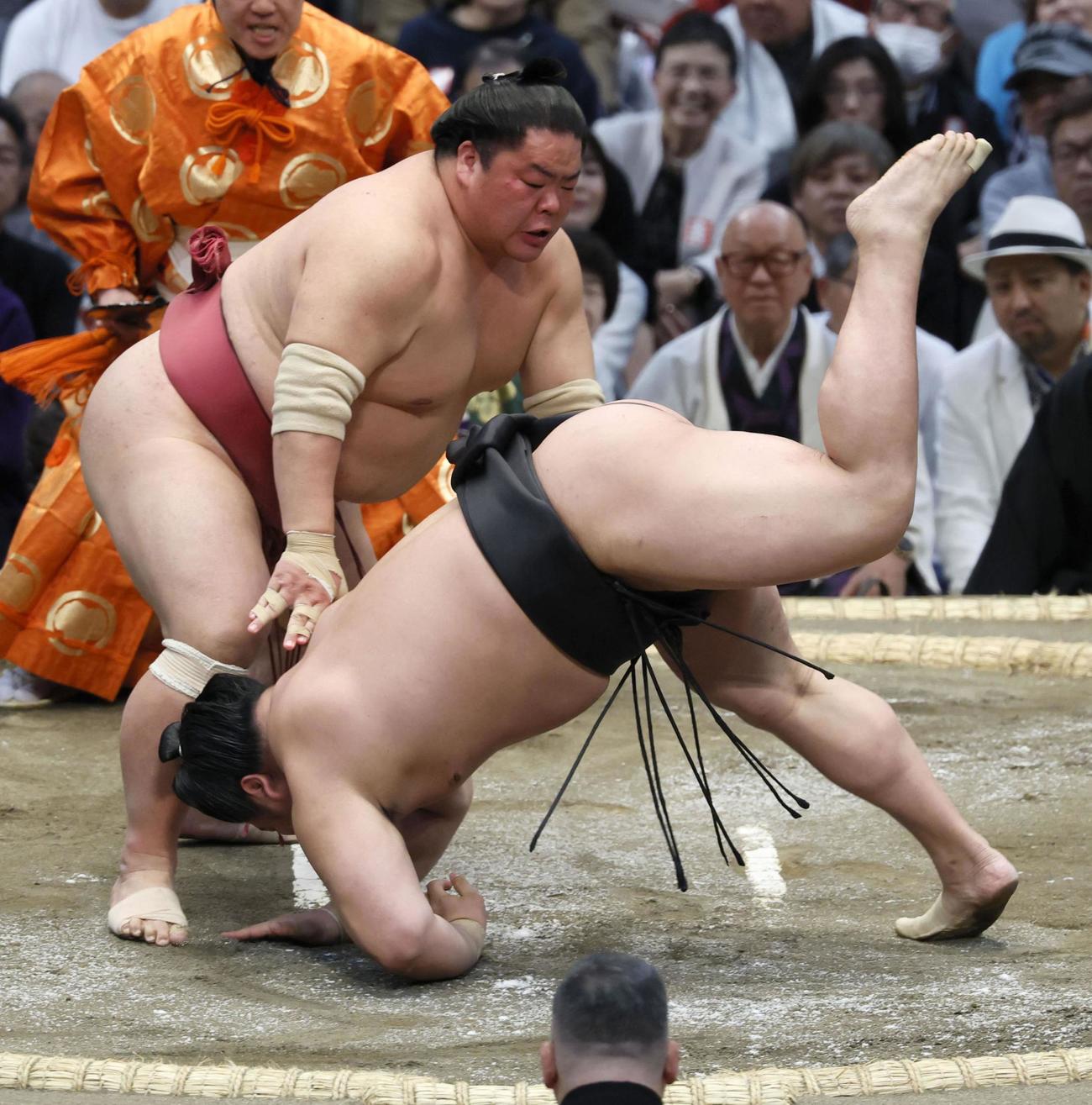 大栄翔（左）が突き落としで若元春を破る（共同）