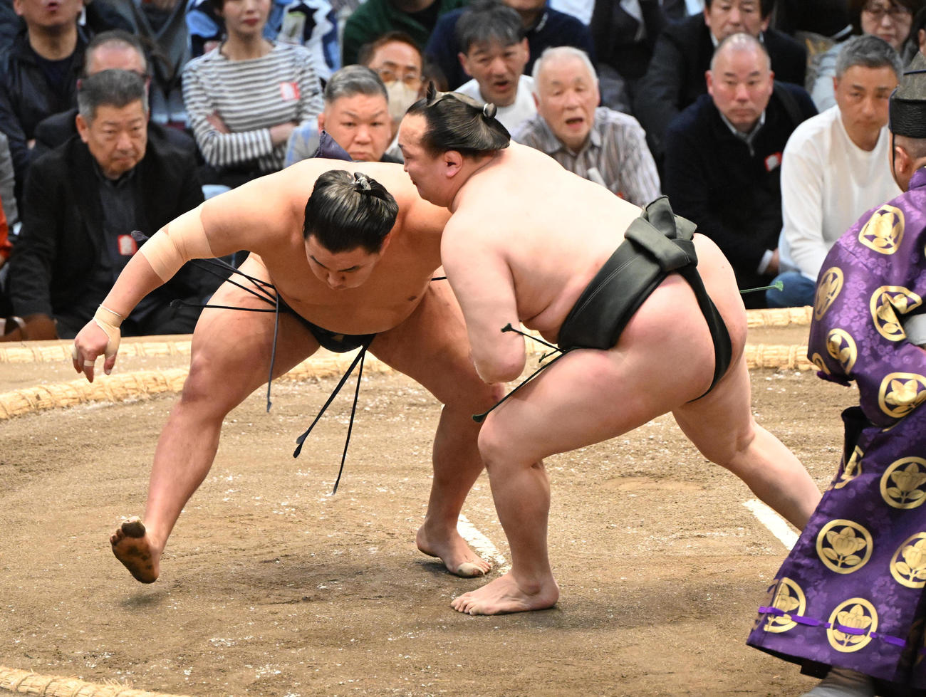 豊昇龍を寄り切りで破る千代翔馬（撮影・和賀正仁）