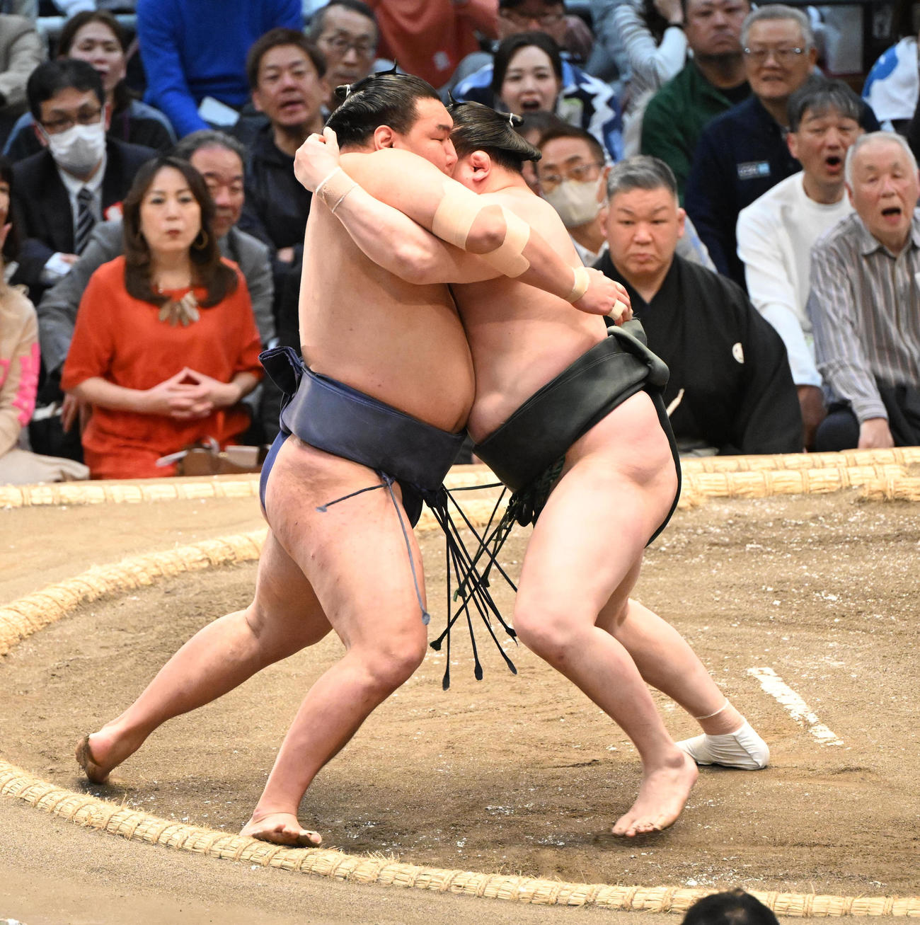 豊昇龍を寄り切りで破る千代翔馬（撮影・和賀正仁）