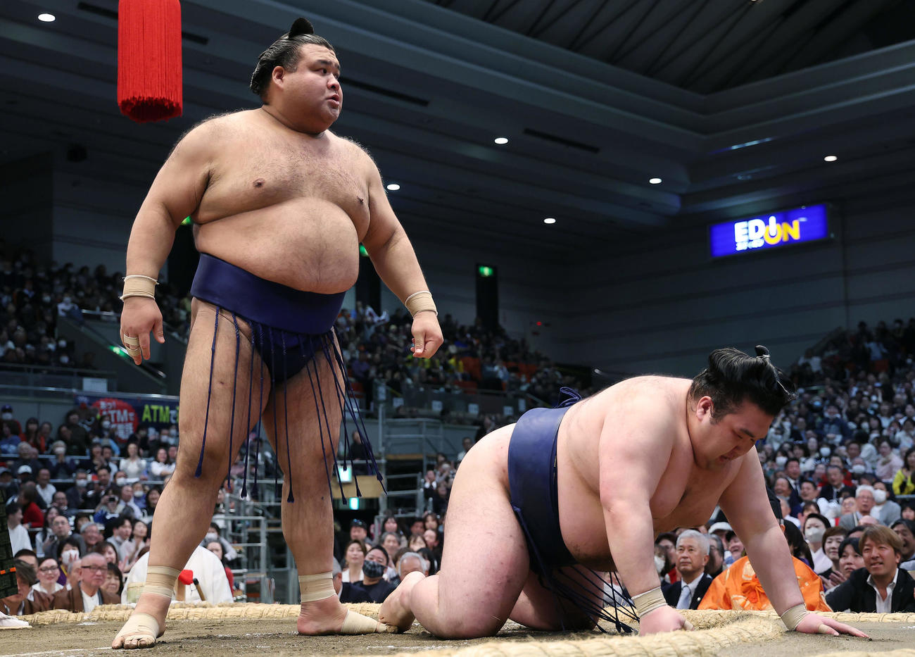 豪ノ山（右）をはたき込みで破った高安（撮影・前田充）