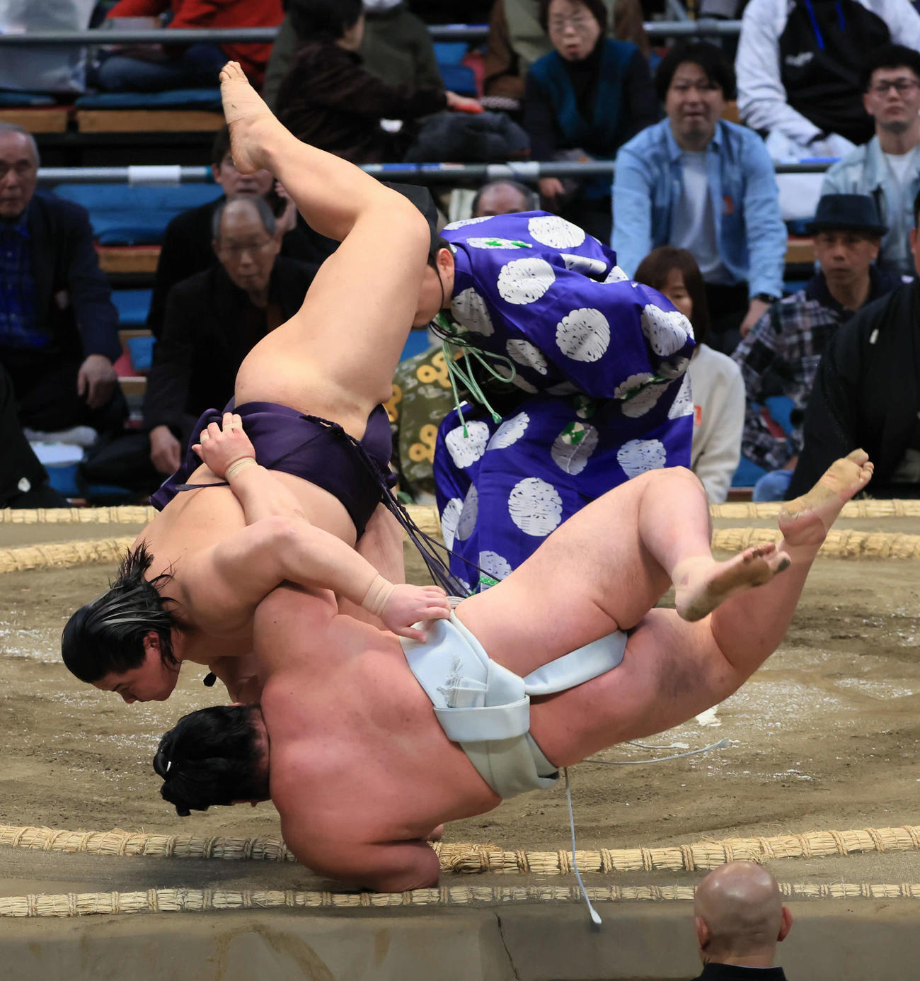 草野（左）は日翔志との投げの打ち合いを制し全勝をキープ
