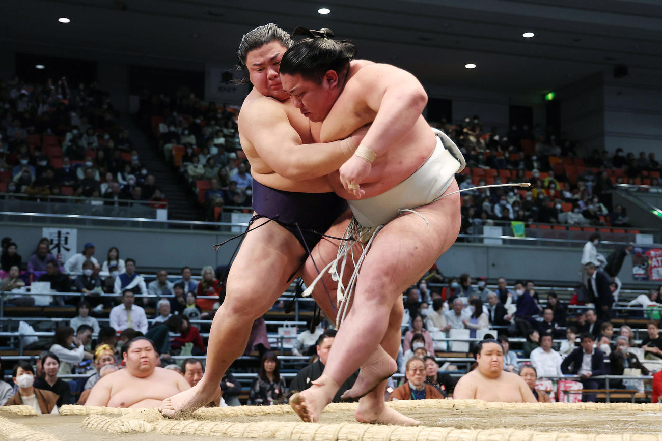 日翔志（右）を上手投げで破る草野（撮影・前田充）