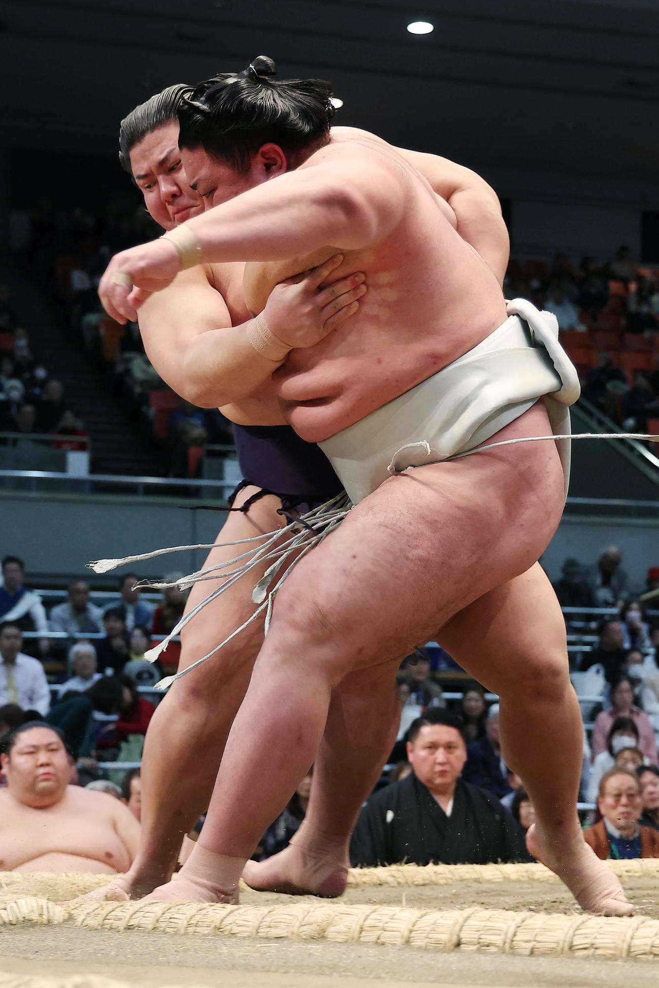日翔志（右）を上手投げで破る草野（撮影・前田充）