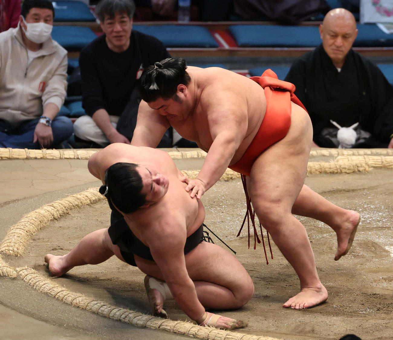 25年3月14日　志摩ノ海（右）に押し倒しで敗れた木竜皇は足を痛める（撮影・西尾就之）