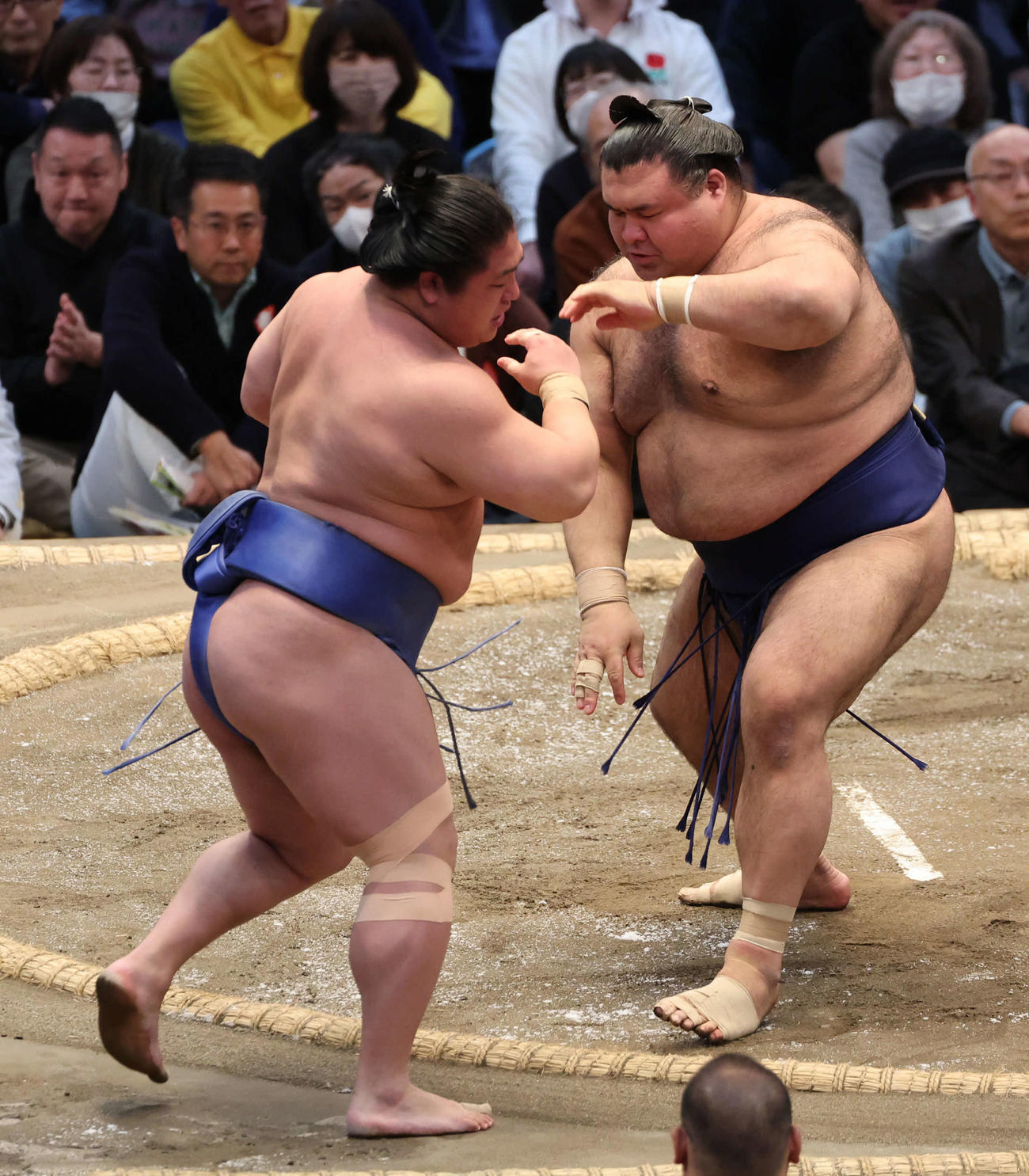 高安は若隆景に押し出しで勝利（撮影・西尾就之）