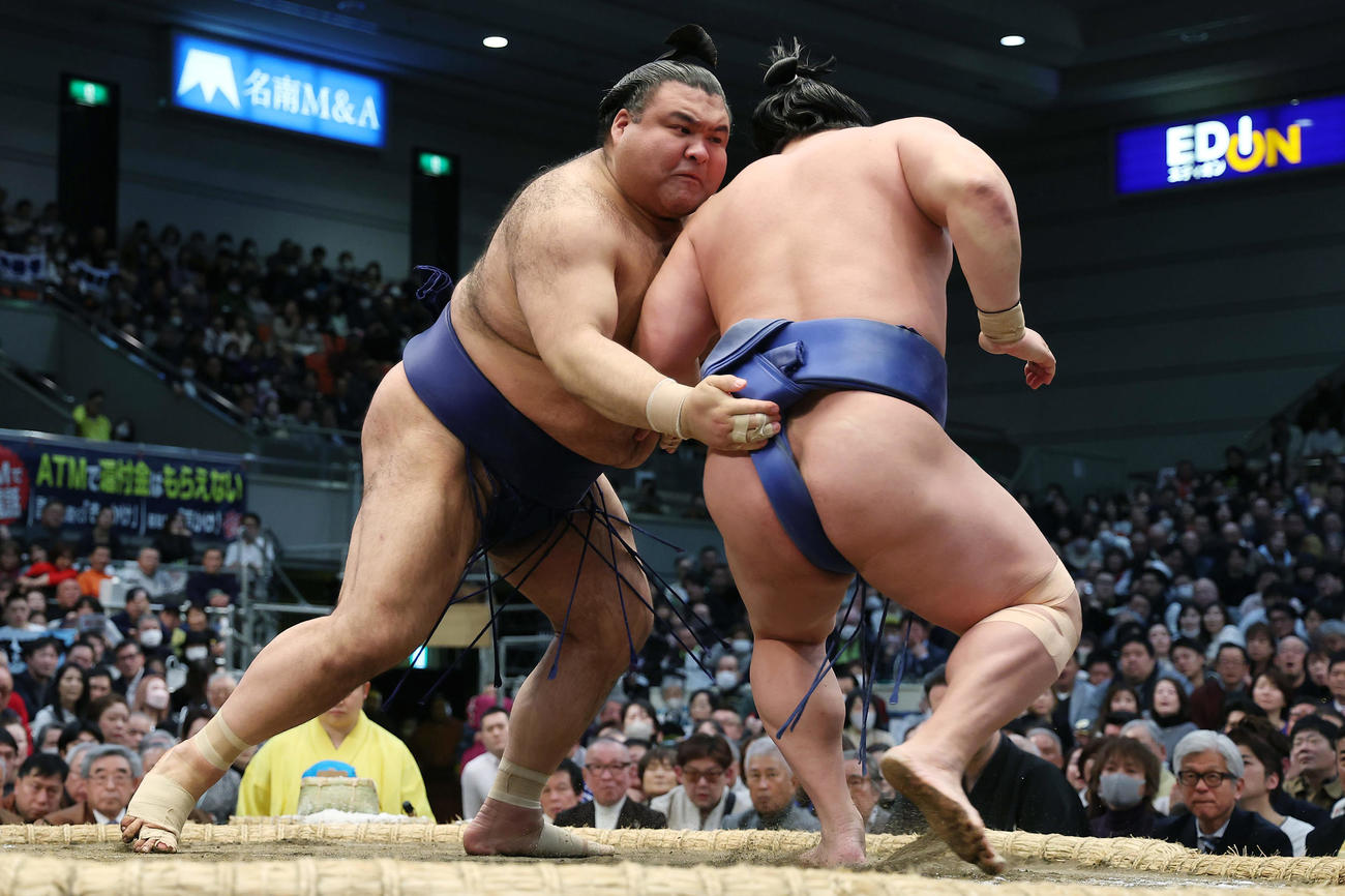 若隆景（右）を押し出しで破る高安（撮影・前田充）