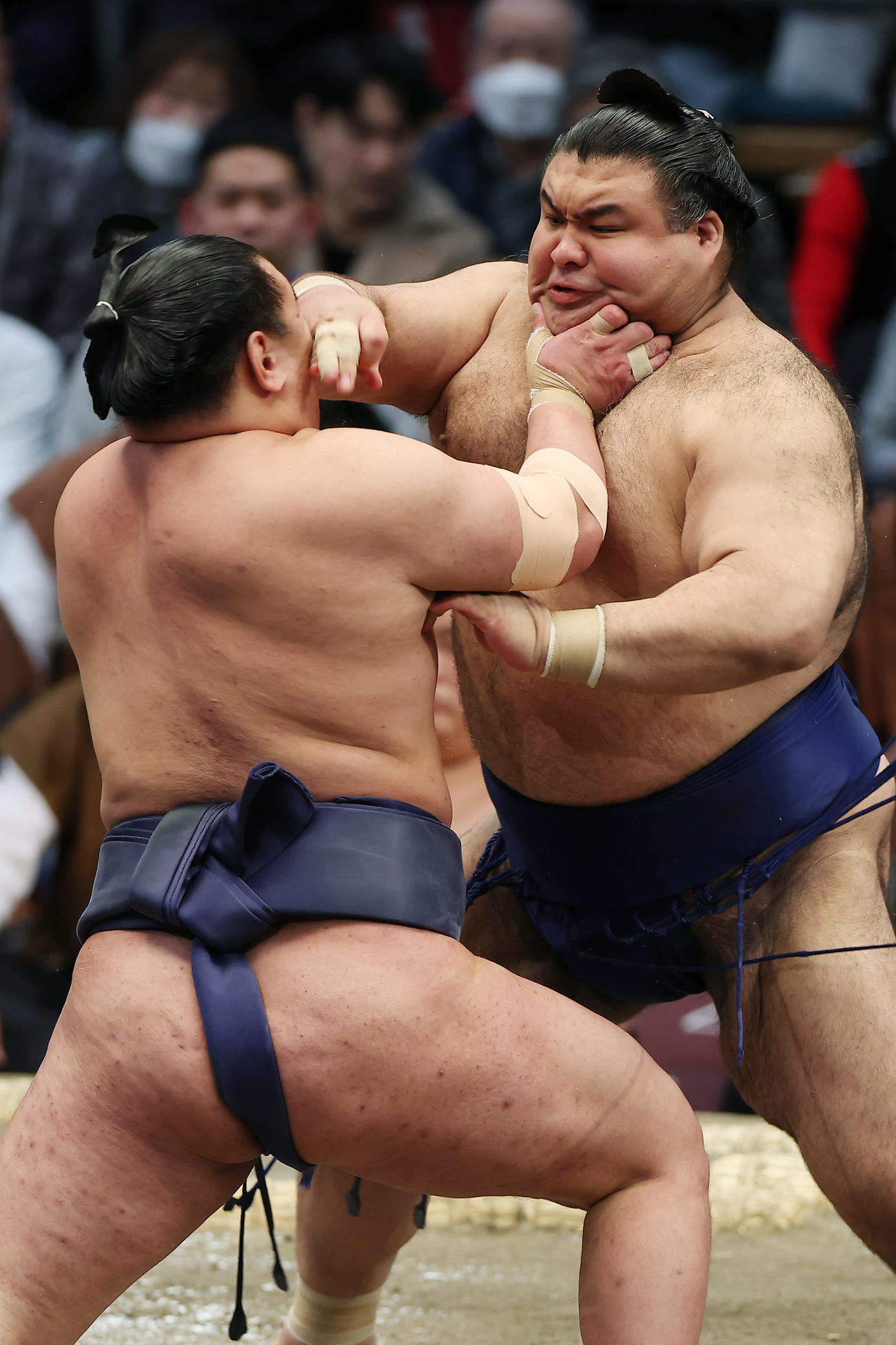 豊昇龍（左）とぶつかり合う高安（撮影・前田充）