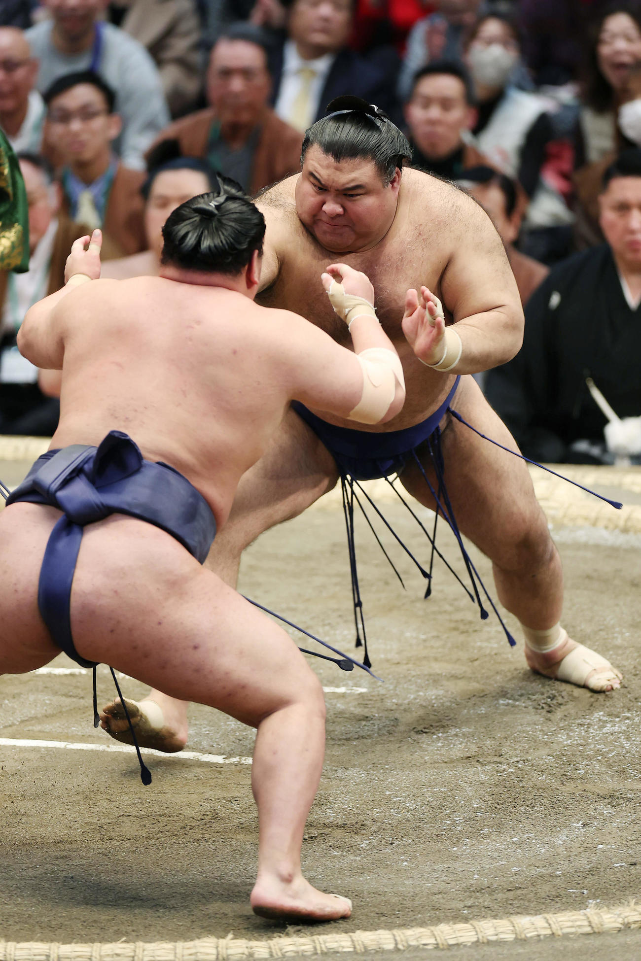 豊昇龍（手前）を攻める高安（撮影・前田充）