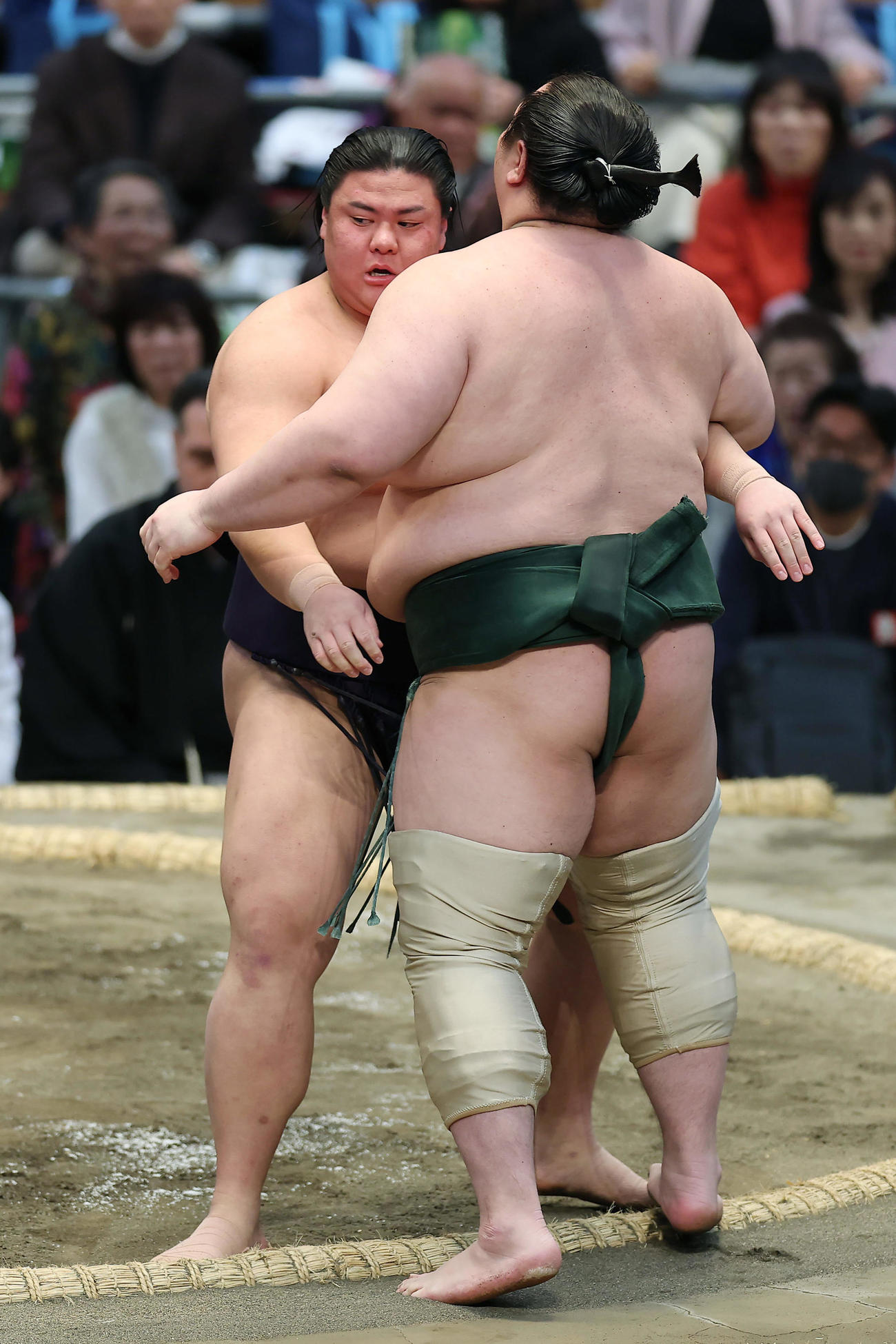 白鷹山（右）を寄り切りで破った草野（撮影・前田充）