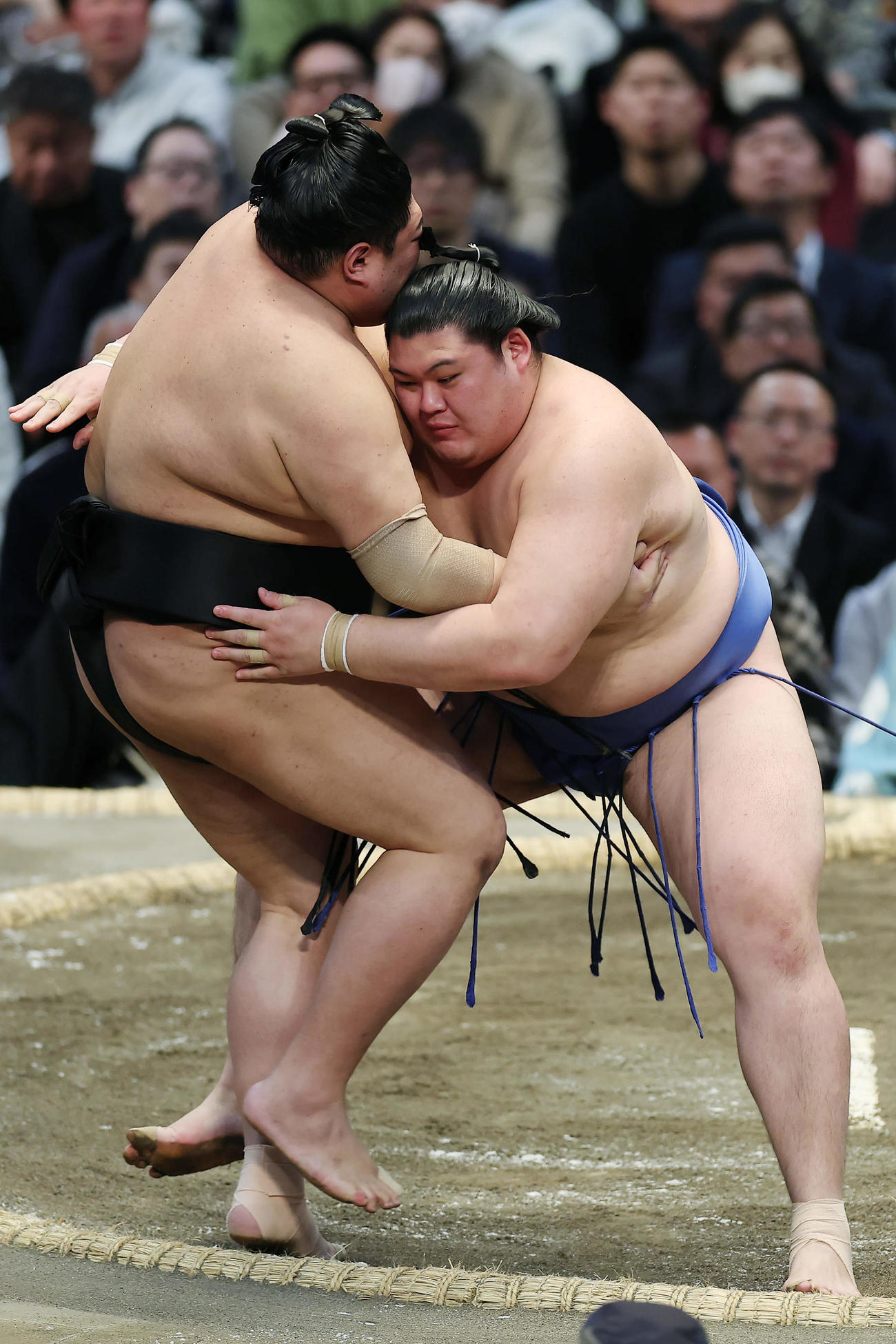 阿炎（左）を寄り切りで破る大の里（撮影・前田充）