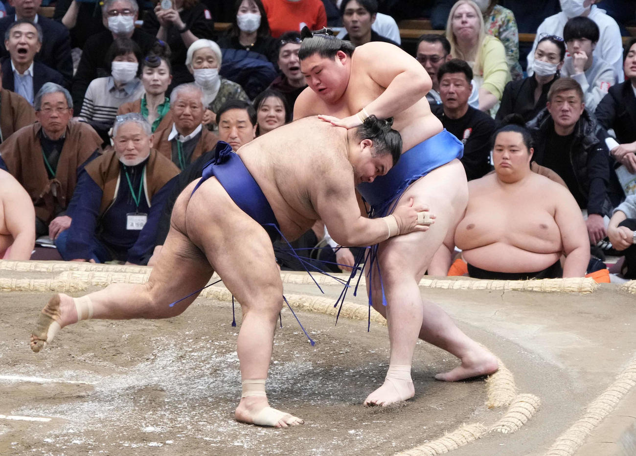 高安（左）は寄り切りで大の里を破る。右は土俵下控えの琴桜（撮影・小沢裕）
