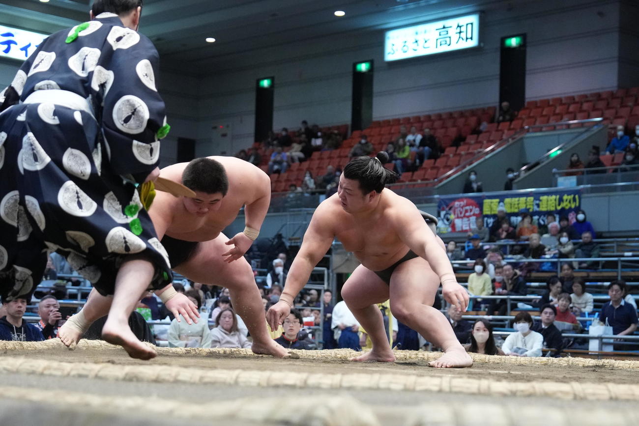 取り直しの一番で福崎は川副（右）に突き落としで敗れる（撮影・小沢裕）