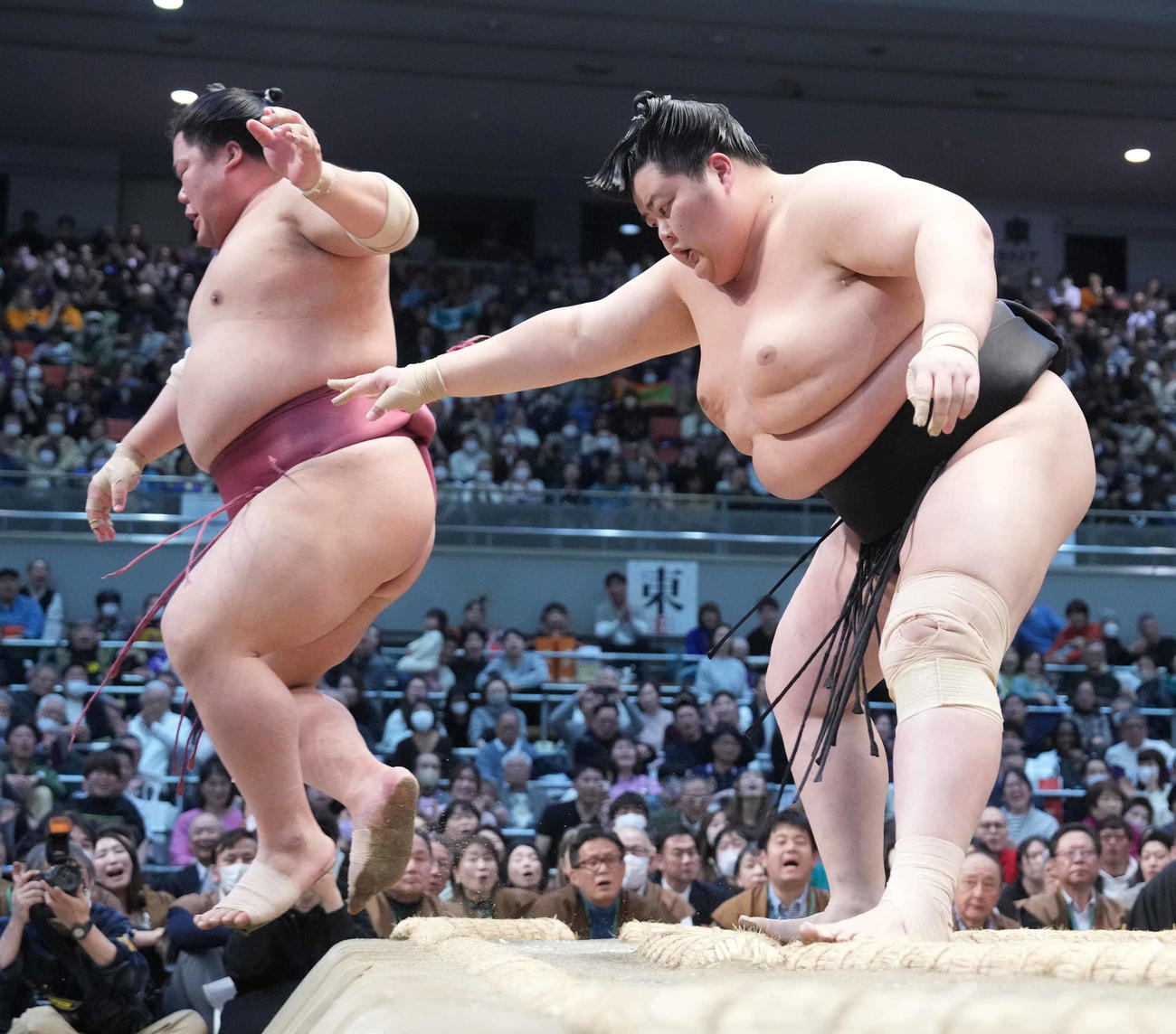 大栄翔（左）を寄り切りで破る琴桜（撮影・小沢裕）