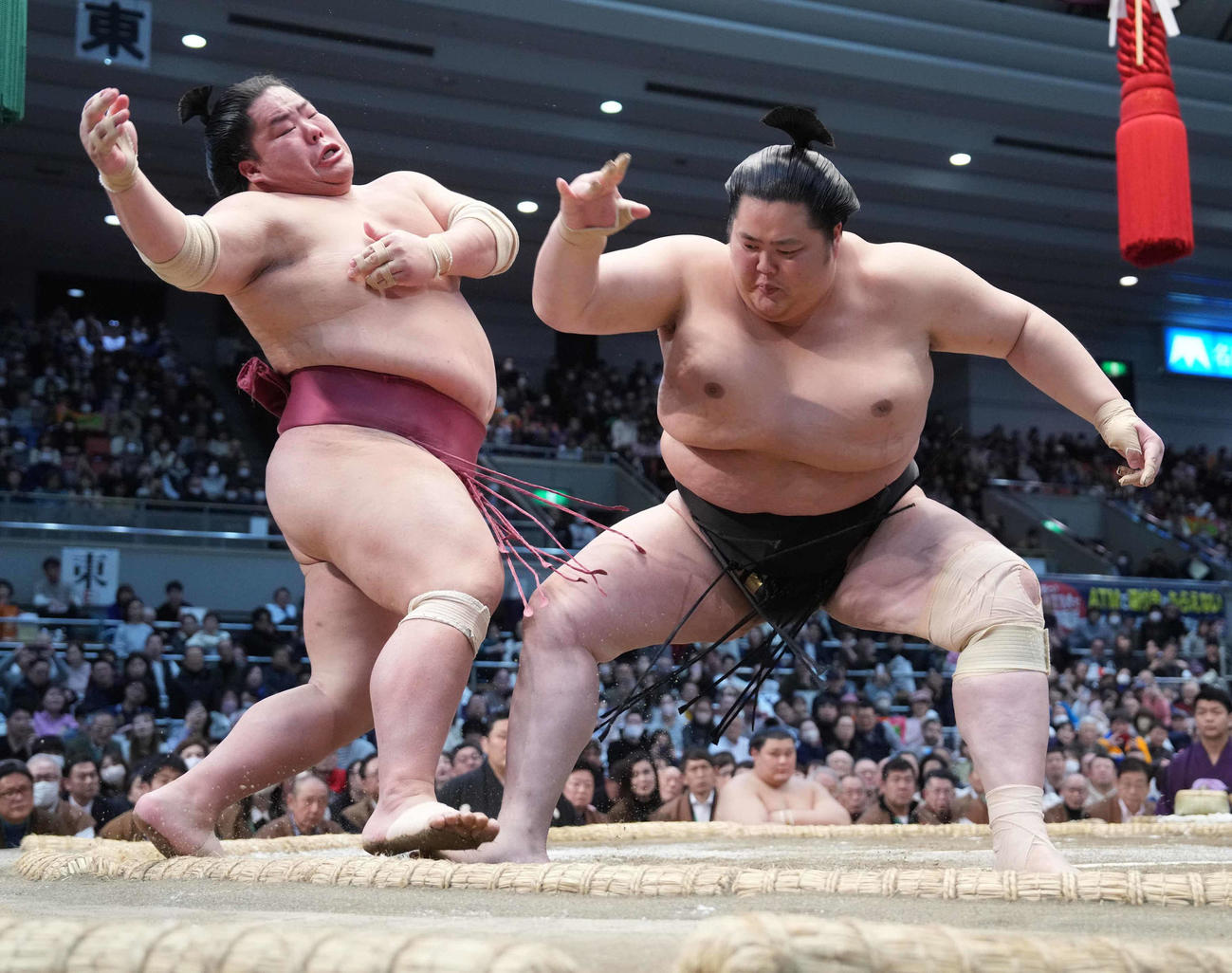 大栄翔（左）を土俵際へ攻め込む琴桜（撮影・小沢裕）