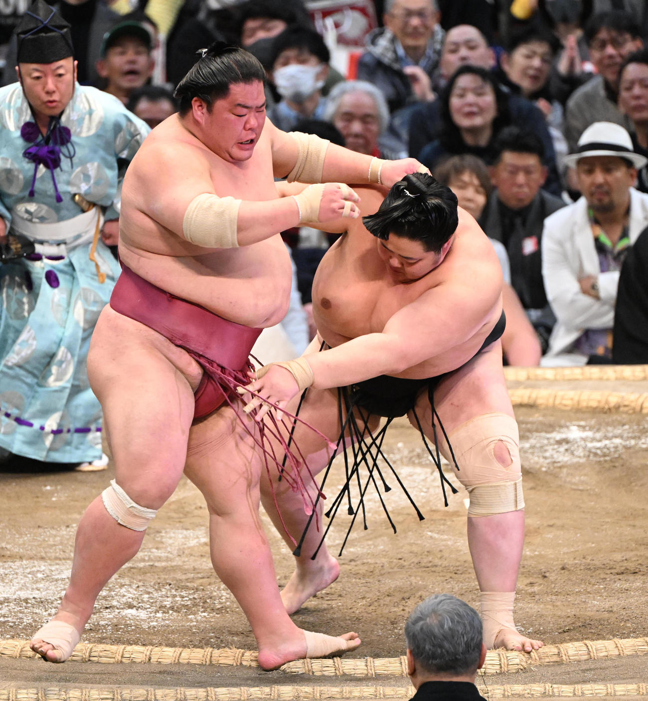 大栄翔（左）を寄り切りで破る琴桜（撮影・和賀正仁）