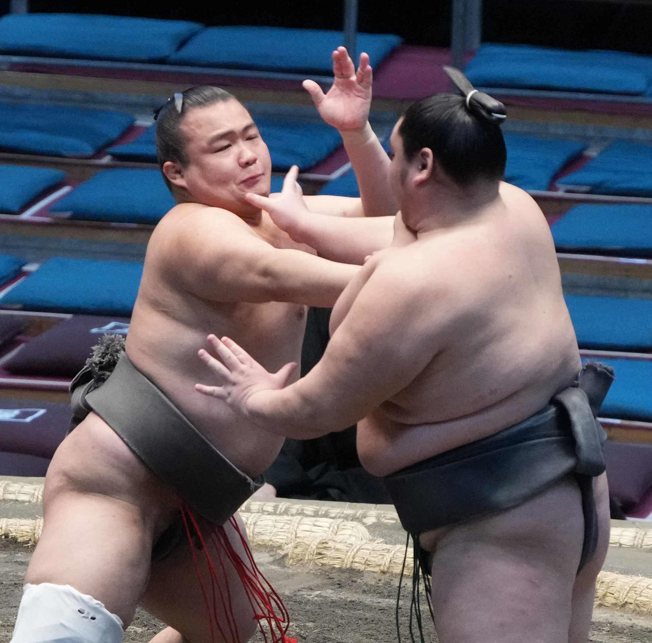 大相撲春場所13日目、朝桜井（右）を攻め込む千代天富（撮影・小沢裕）