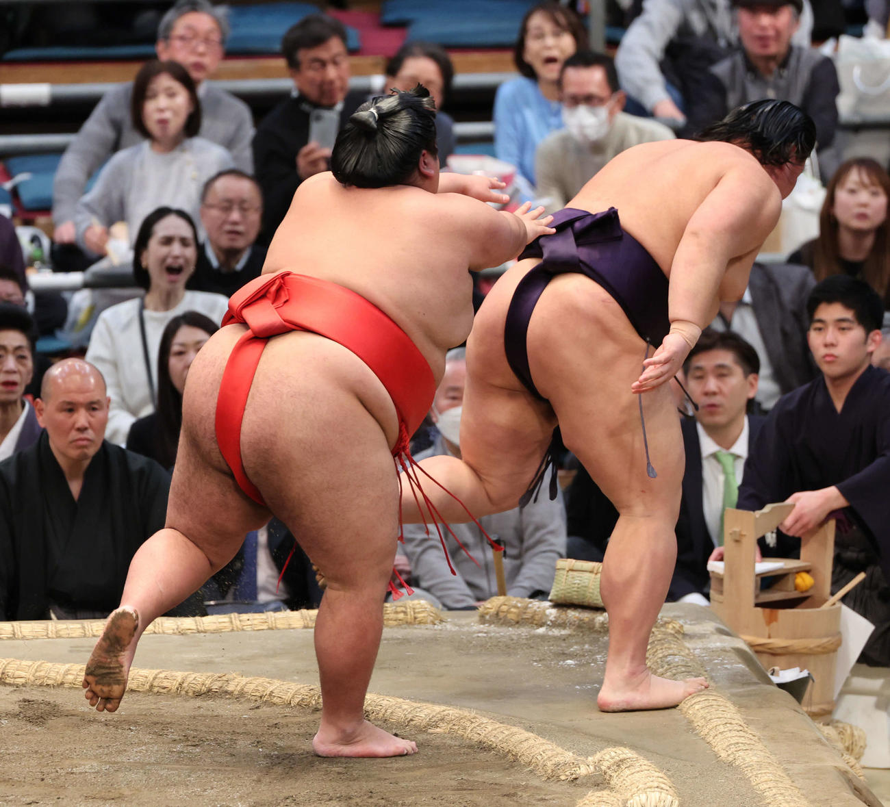 大相撲春場所13日目　十両の草野は嘉陽に送り出しで敗れ初黒星（撮影・西尾就之）