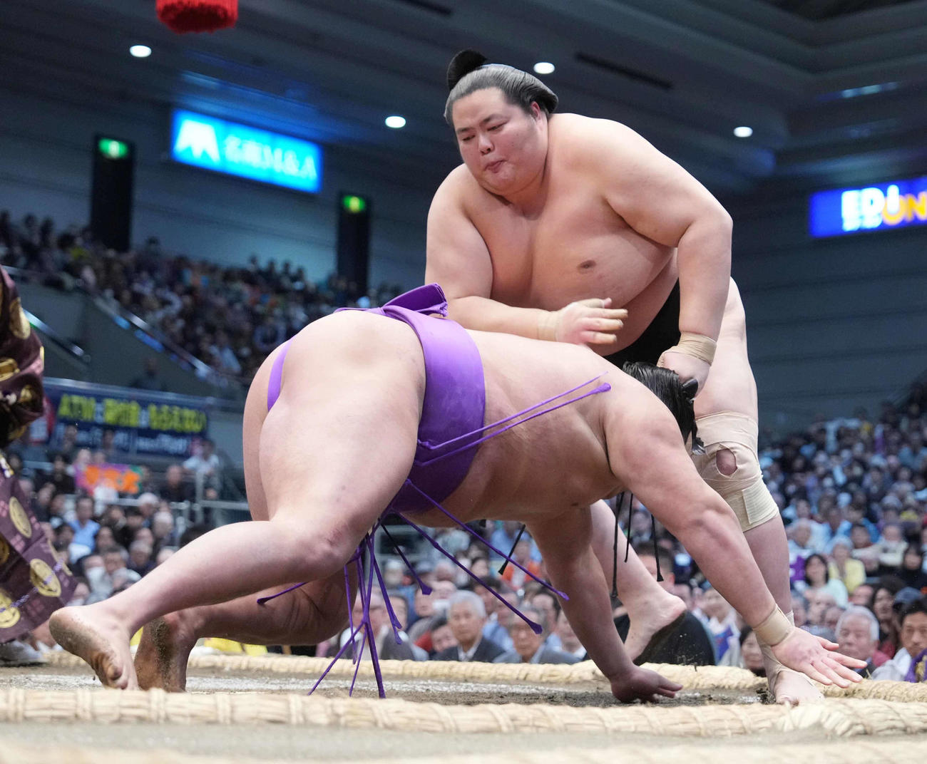 琴桜は尊富士（手前）をはたき込みで破り角番脱出を決める（撮影・小沢裕）