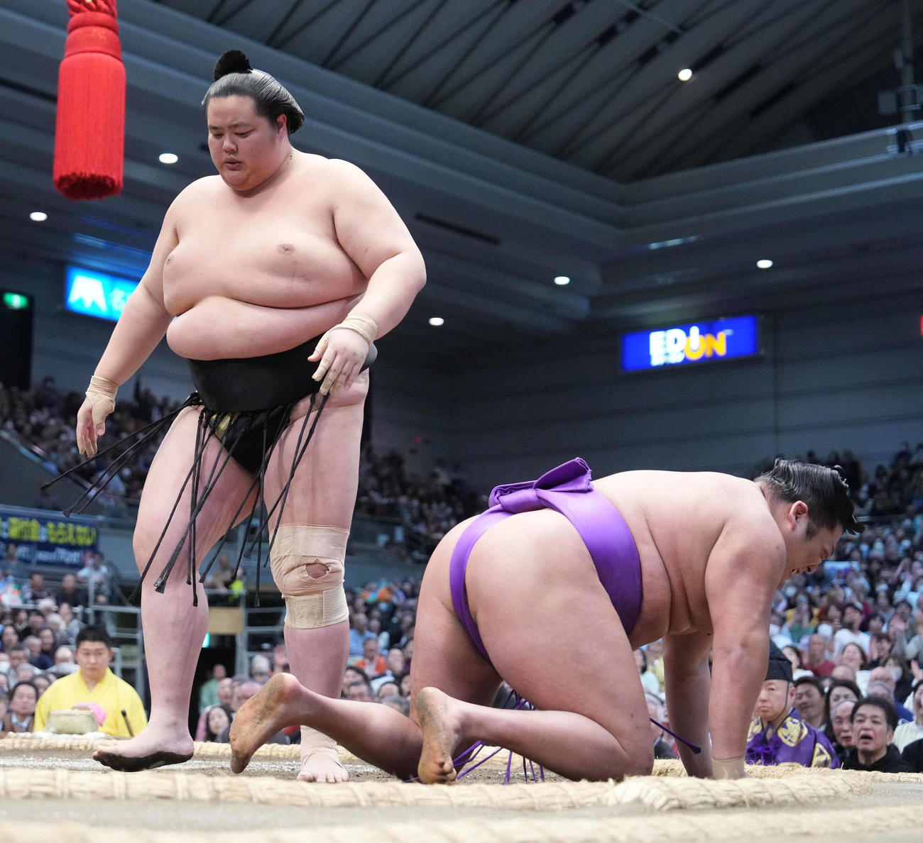 琴桜は尊富士（手前）をはたき込みで破り角番脱出を決める（撮影・小沢裕）
