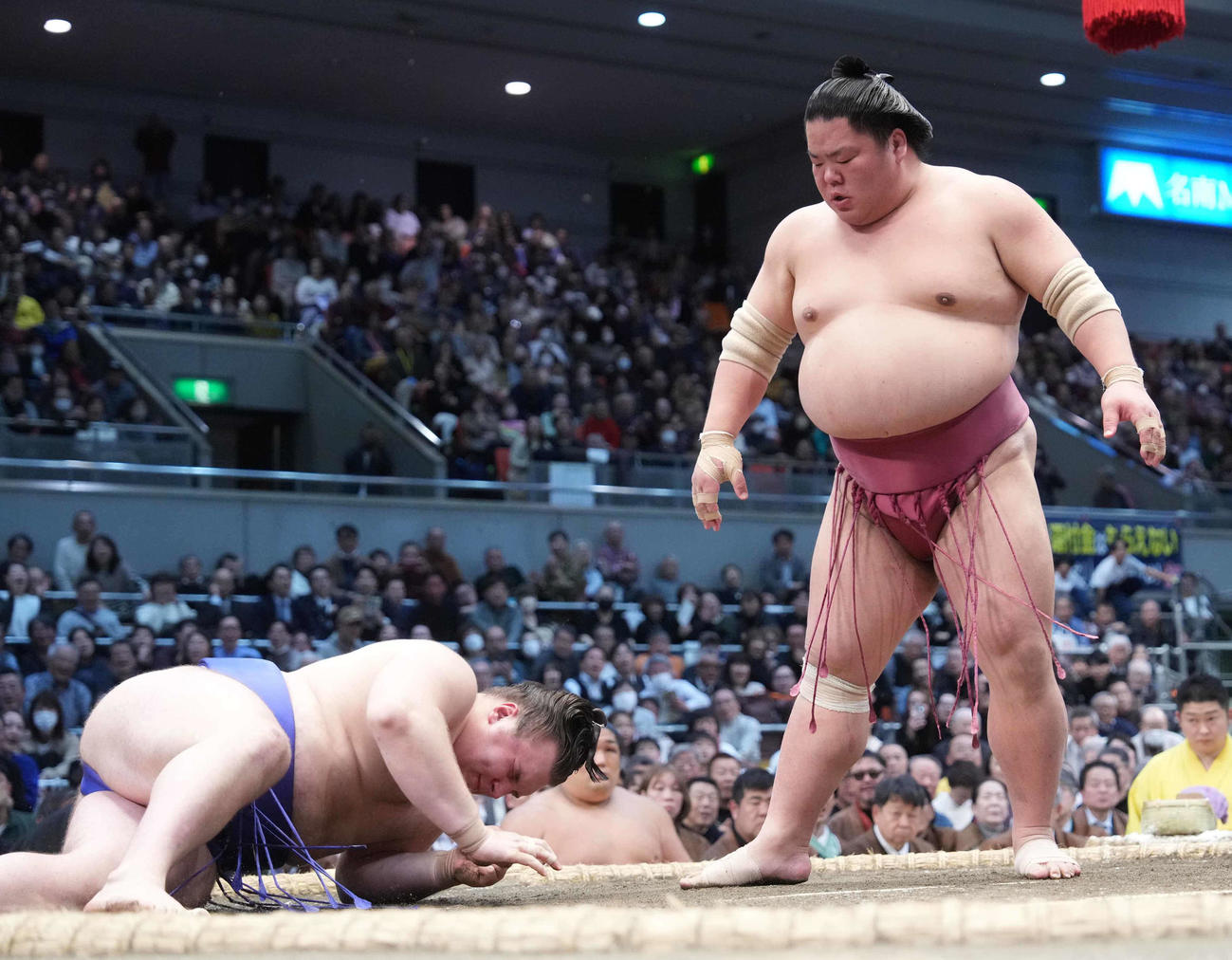 安青錦（左）は大栄翔にはたき込みで敗れる（撮影・小沢裕）