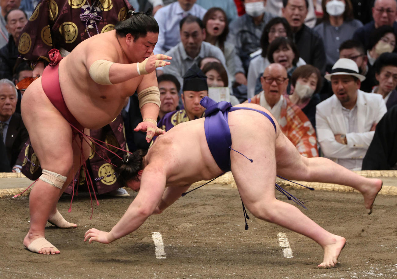 大相撲春場所13日目　大栄翔ははたきこみで安青錦を下す（撮影・西尾就之）