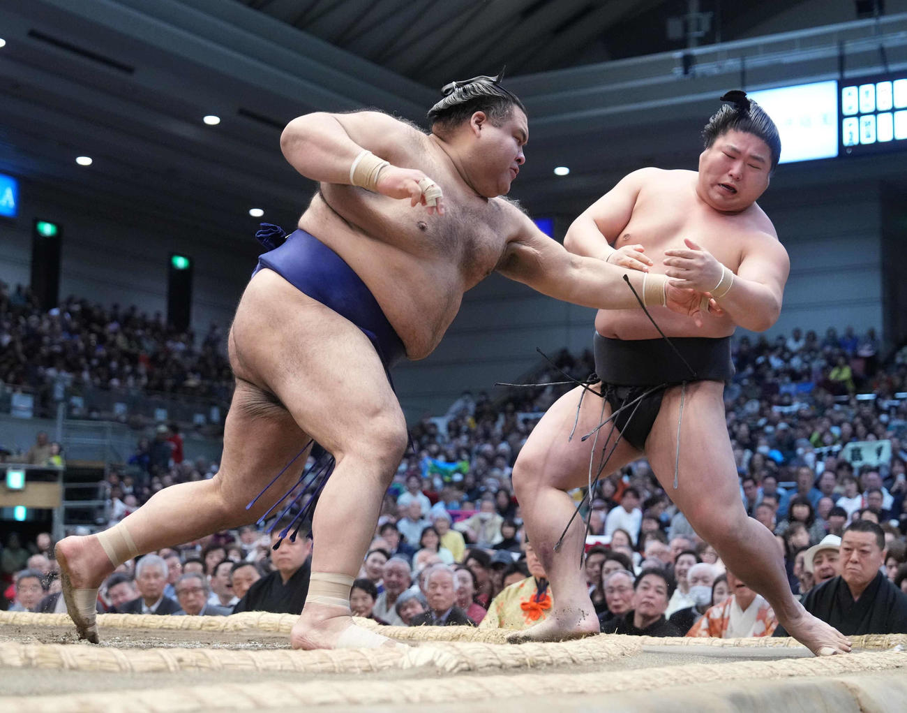 高安は若元春（右）を突き出しで破り2敗を死守する（撮影・小沢裕）