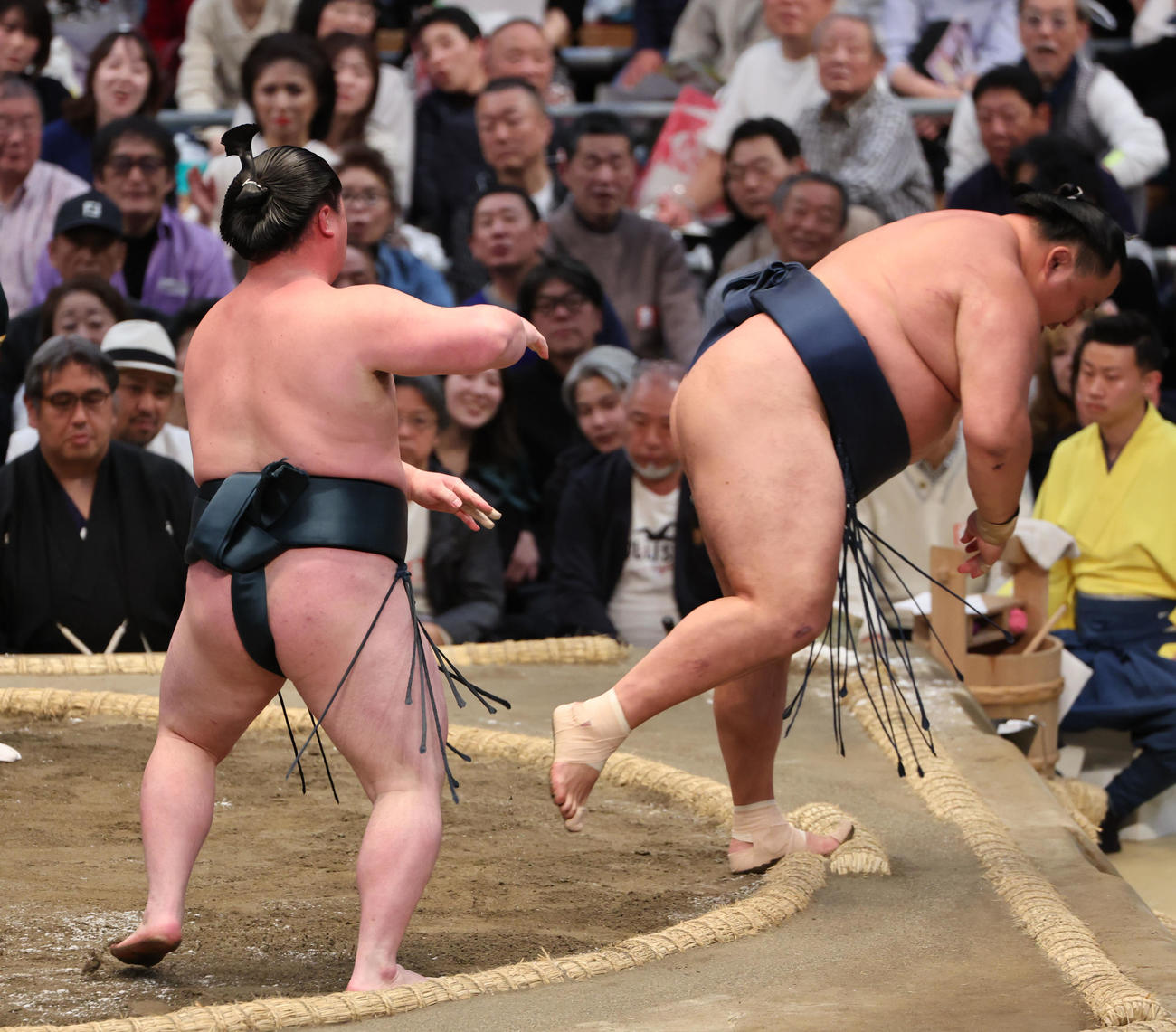 大相撲春場所14日目　時疾風は小手投げで玉鷲を下す（撮影・西尾就之）