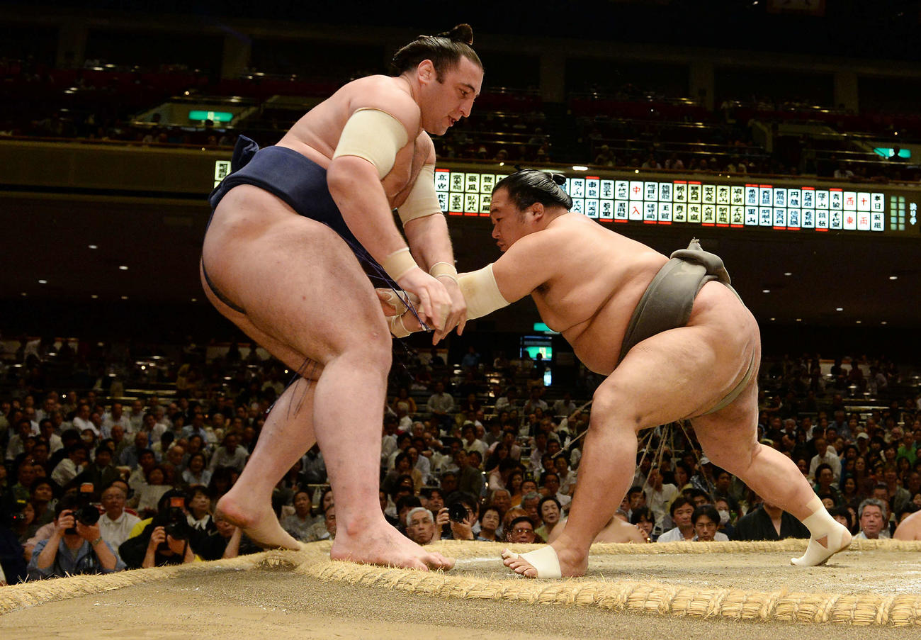 13年夏場所、栃ノ心（左）を押し出す豊ノ島