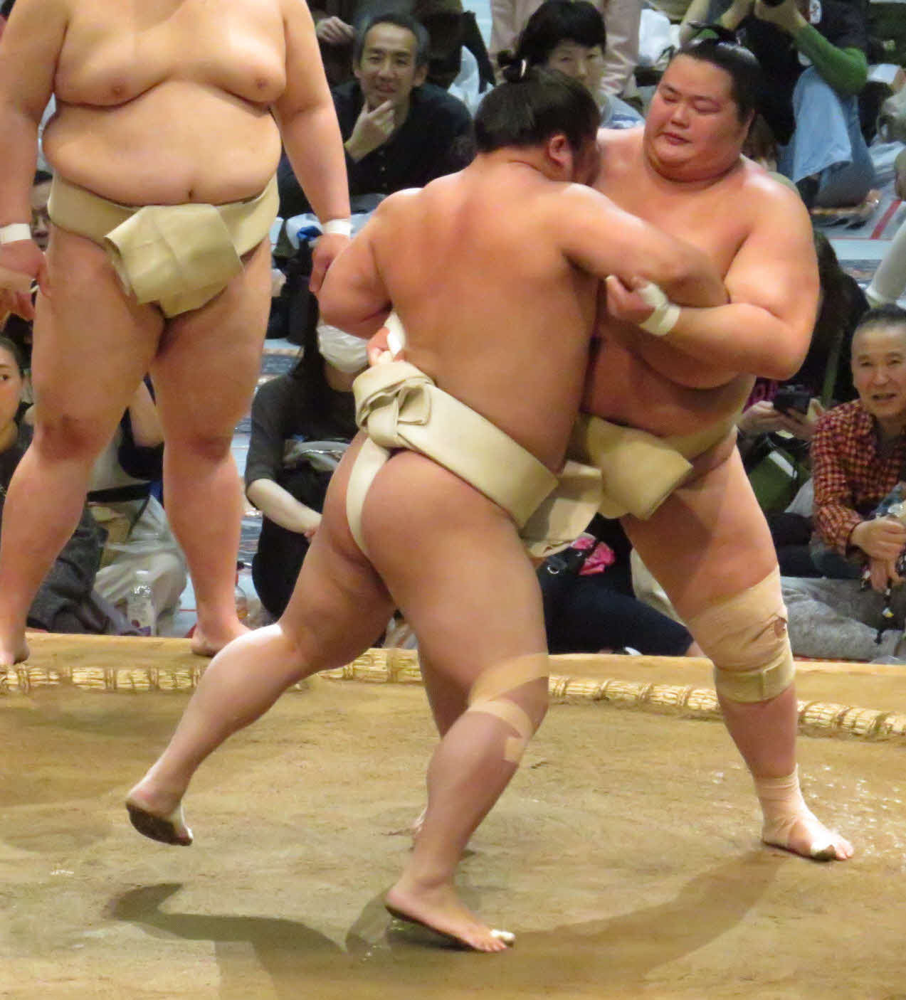 神奈川・川崎市で行われた巡業の稽古で、若隆景（左）と相撲を取る稽古を繰り返した琴桜