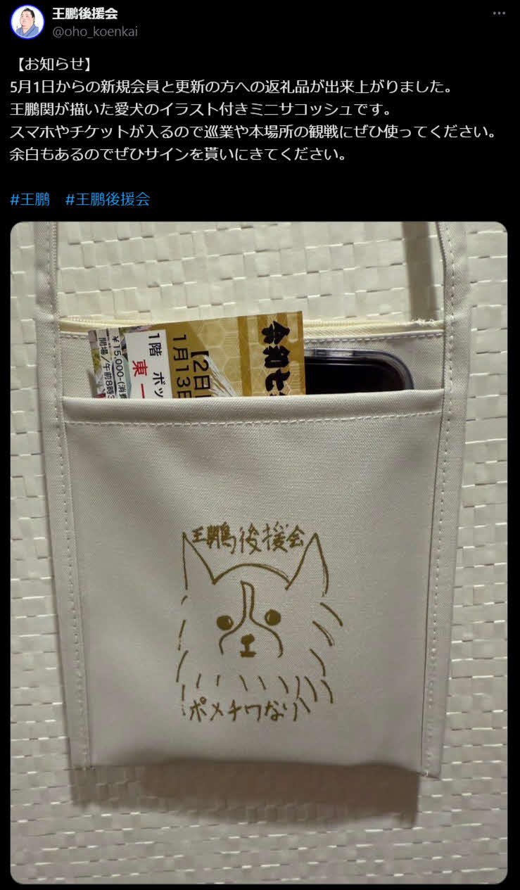 王鵬がイラストを描いたミニコサッシュ（王鵬後援会のXから）
