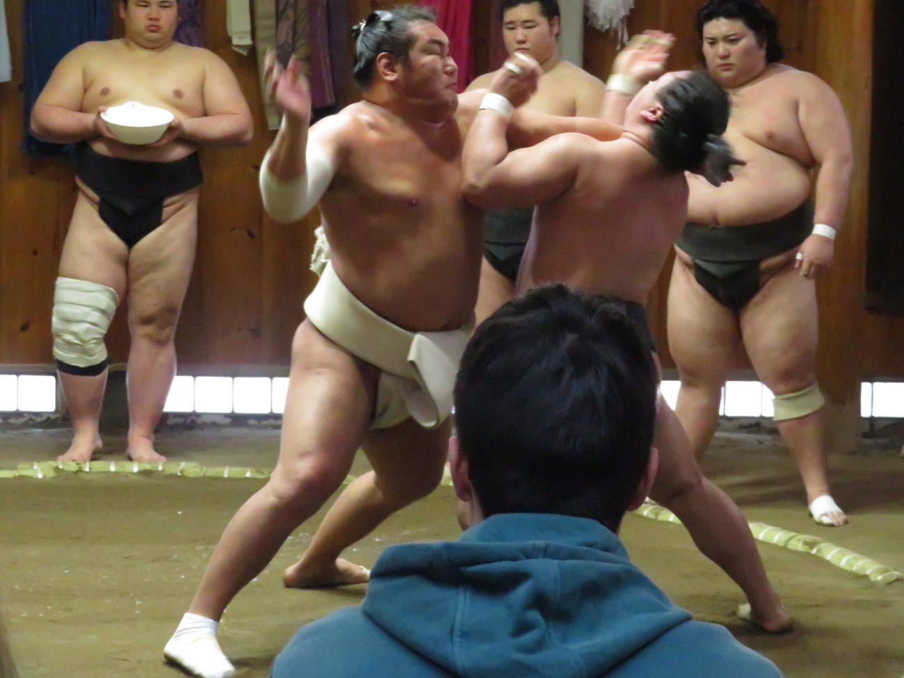 本格始動した豊昇龍（手前左）は、相撲を取る稽古で若い衆を圧倒した