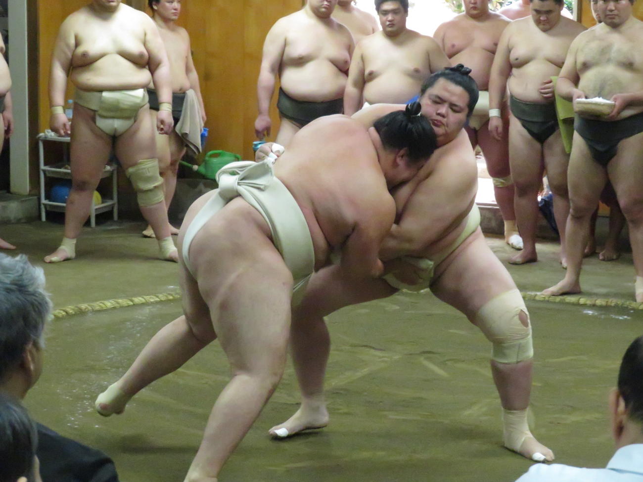 二所ノ関一門の連合稽古で14勝1敗と存在感を示した琴桜（手前右）