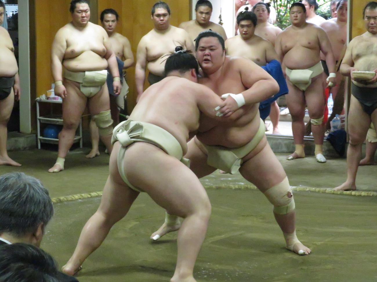 二所ノ関一門の連合稽古で14勝1敗と存在感を示した琴桜（手前右）