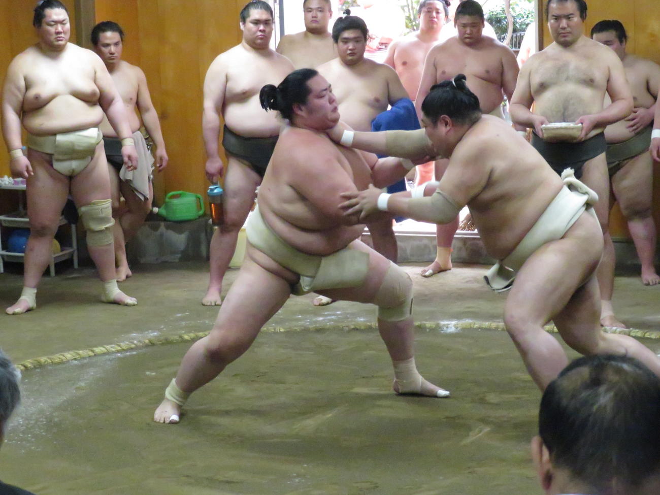二所ノ関一門の連合稽古で、阿炎（手前右）ののど輪を受けながらも前に出た琴桜（同左）