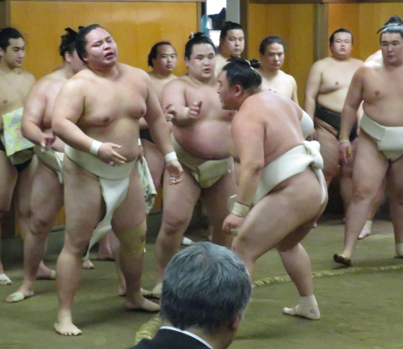 二所ノ関一門の連合稽古の申し合いで、琴勝峰（手前左）を圧倒した玉鷲（同右）
