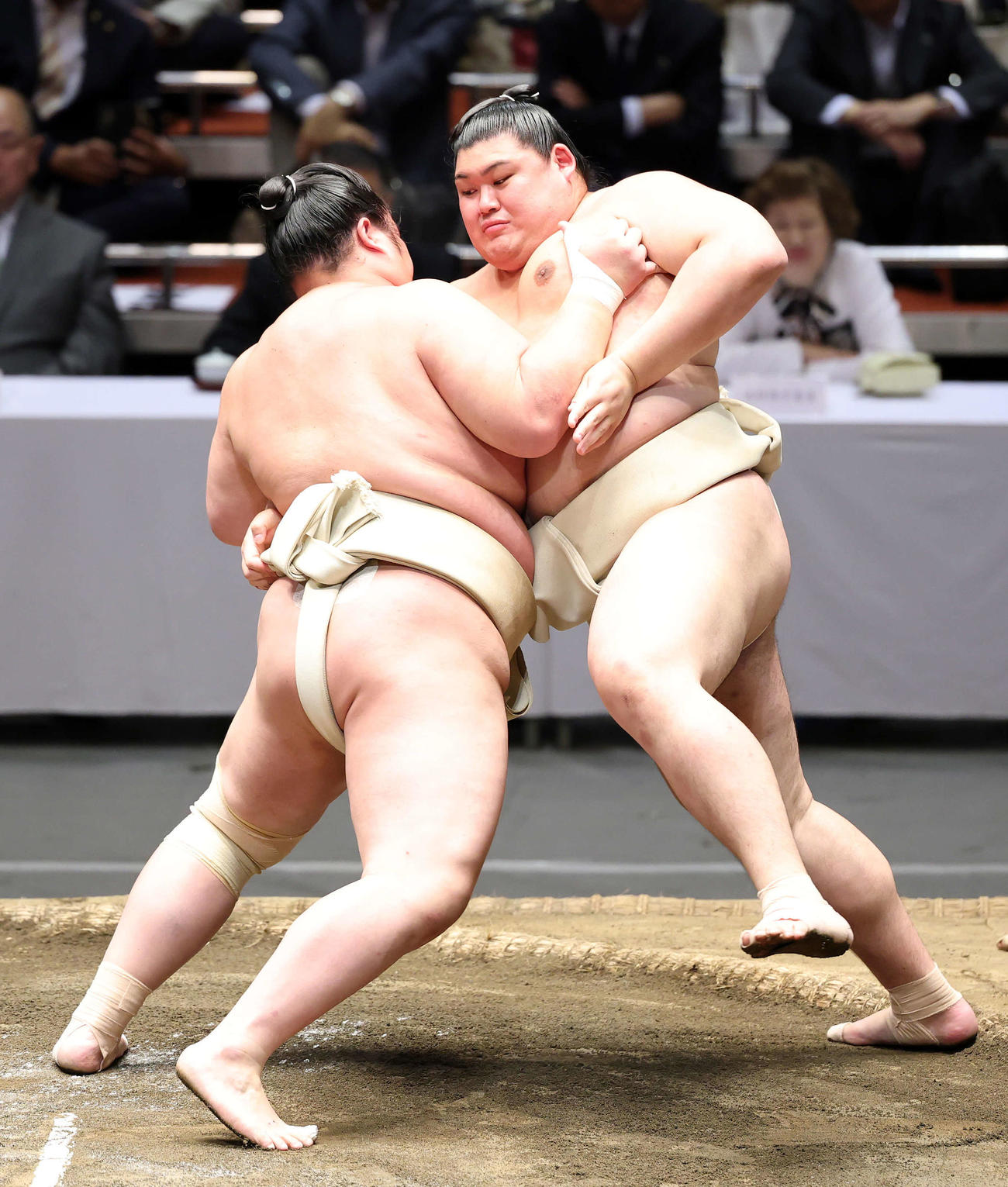 申し合い稽古する琴桜（左）と大の里（撮影・鈴木正人）