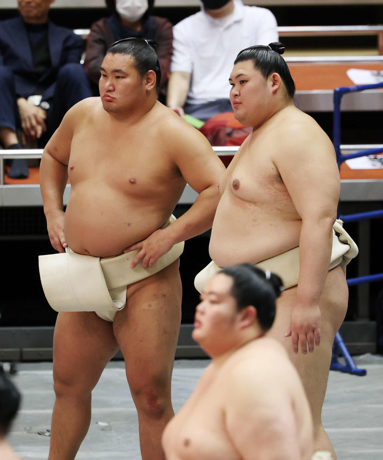 土俵を見つめる豊昇龍（左）と大の里（撮影・鈴木正人）