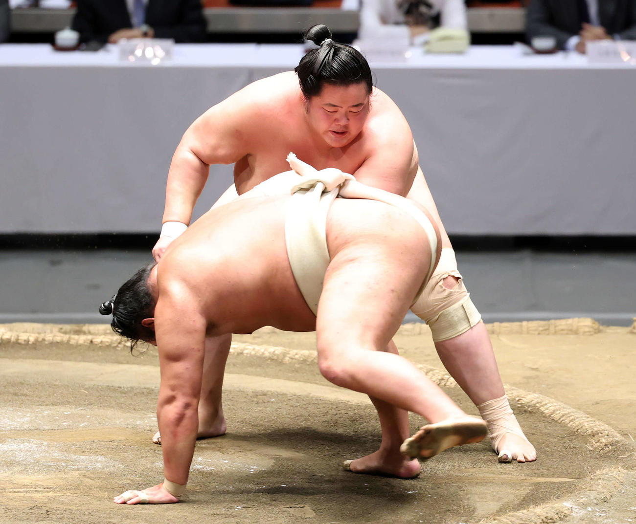 申し合い稽古する琴桜（後方）と豊昇龍（撮影・鈴木正人）