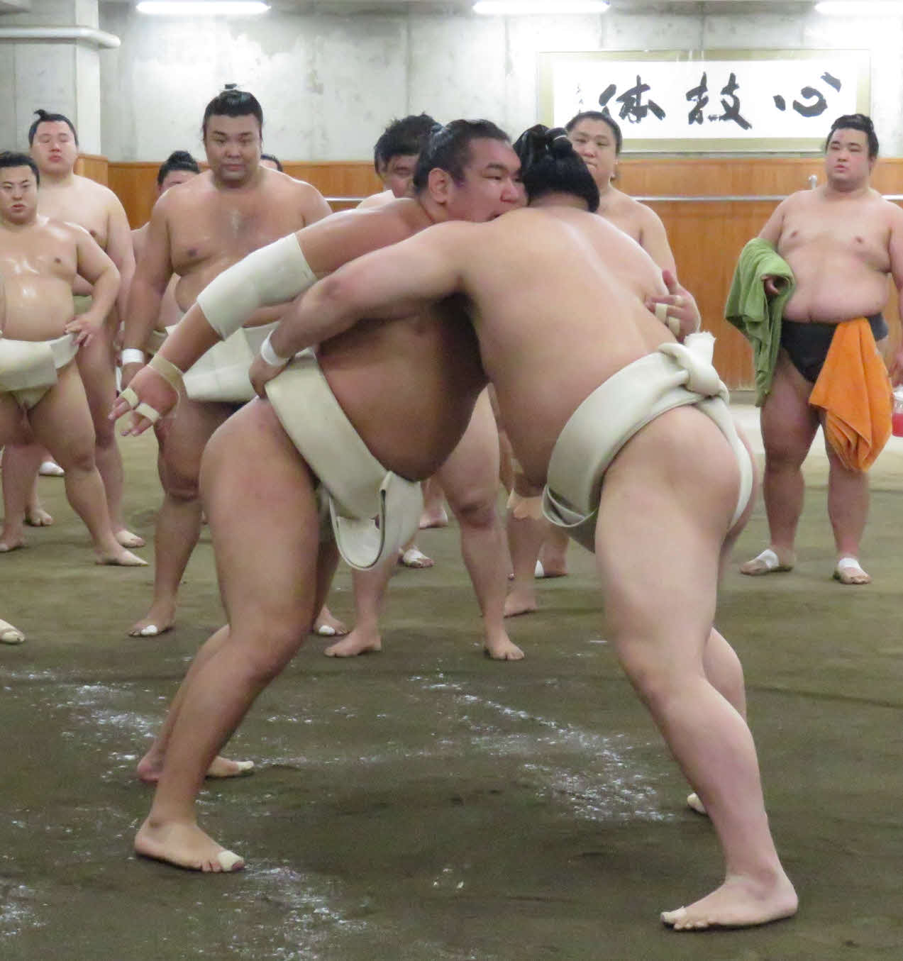 時津風一門の連合稽古に一門外から参加した豊昇龍（手前左）は、若元春（同右）と稽古を繰り返した