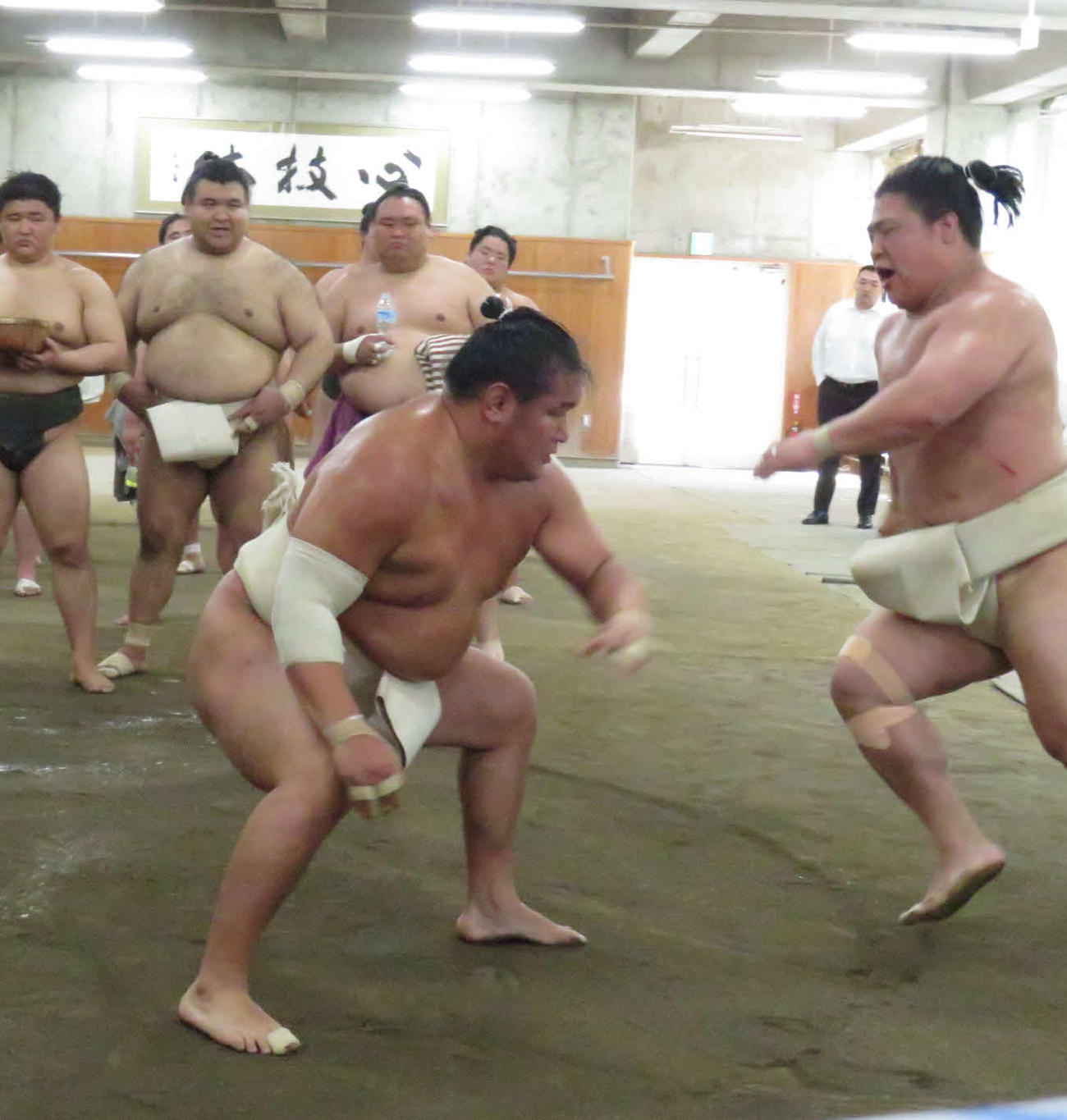 時津風一門の連合稽古に一門外から参加した豊昇龍（手前左）は、若隆景（同右）と精力的に稽古を繰り返した