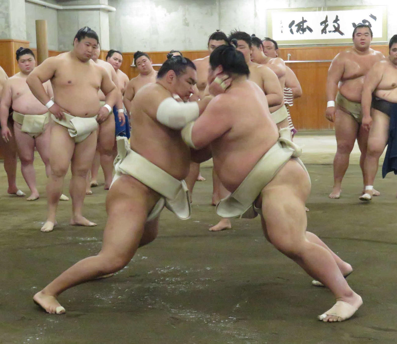 時津風一門の連合稽古に一門外から参加した豊昇龍（手前左）は、大栄翔（同右）と稽古を繰り返した