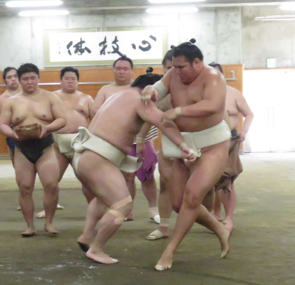 時津風一門の連合稽古に一門外から参加した豊昇龍（手前右）は、若隆景（同左）に稽古で敗れることも多かった