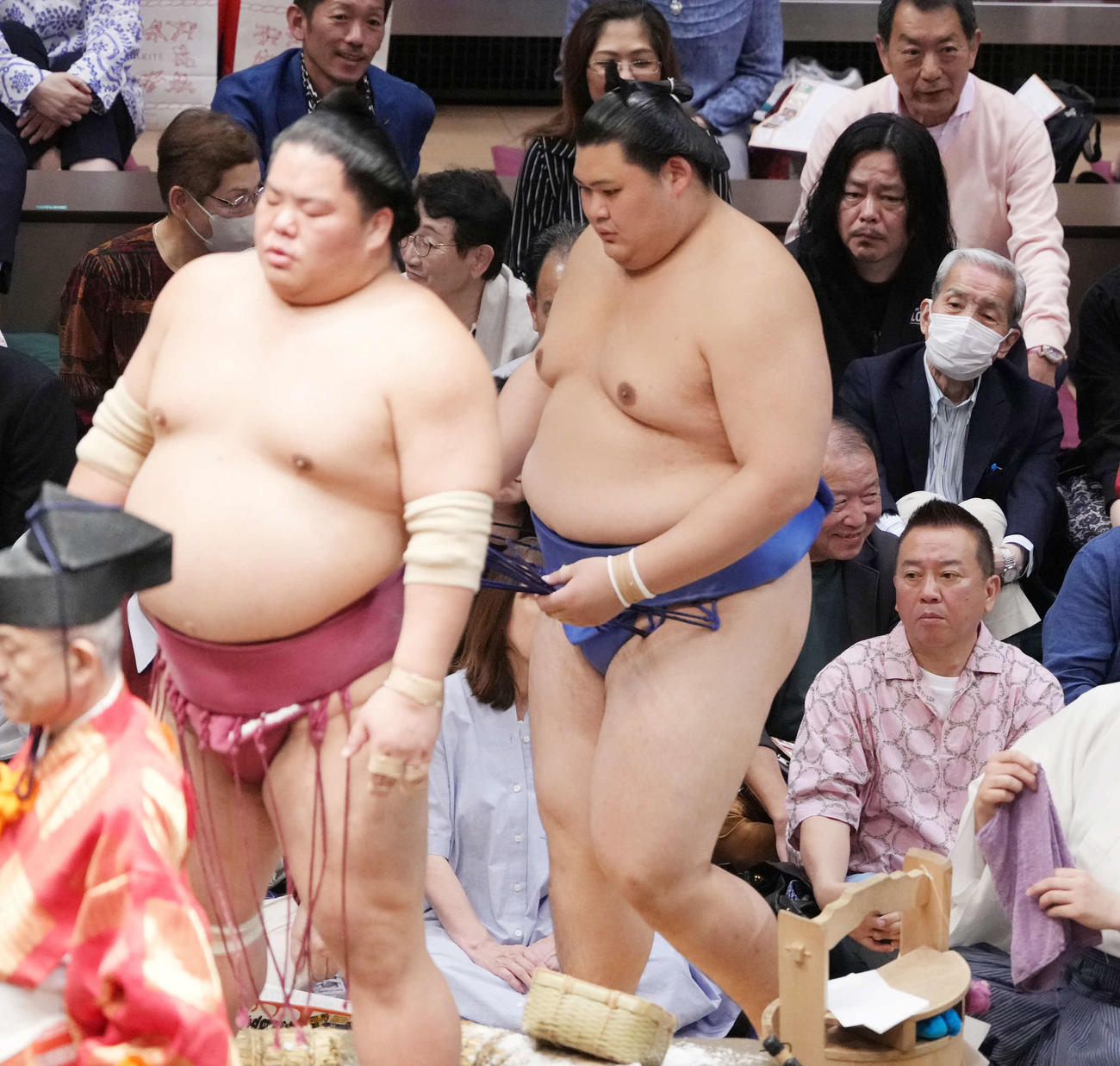 溜まり席で観戦する落語家の林家たい平（撮影・小沢裕）