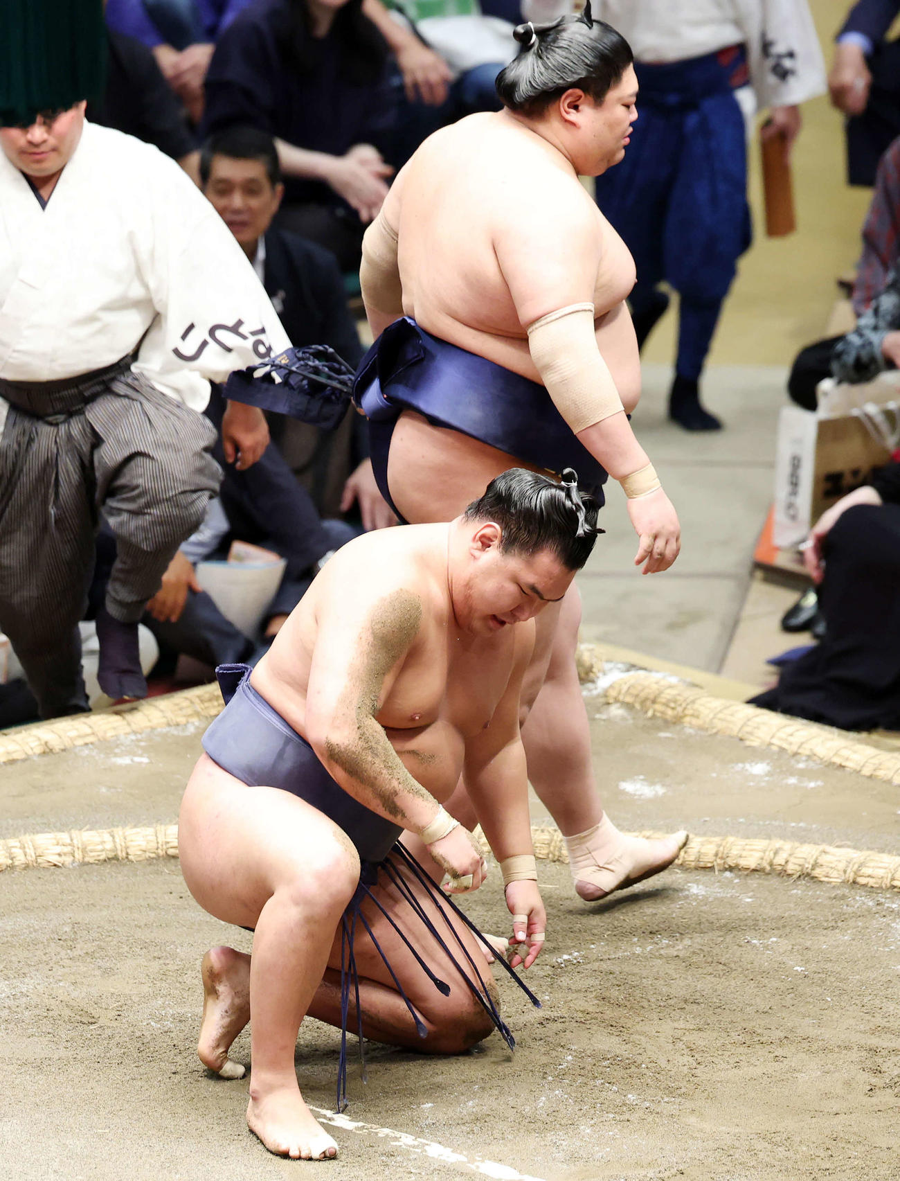 豊昇龍は引き落としで敗れ、連日の金星配給（撮影・鈴木正人）