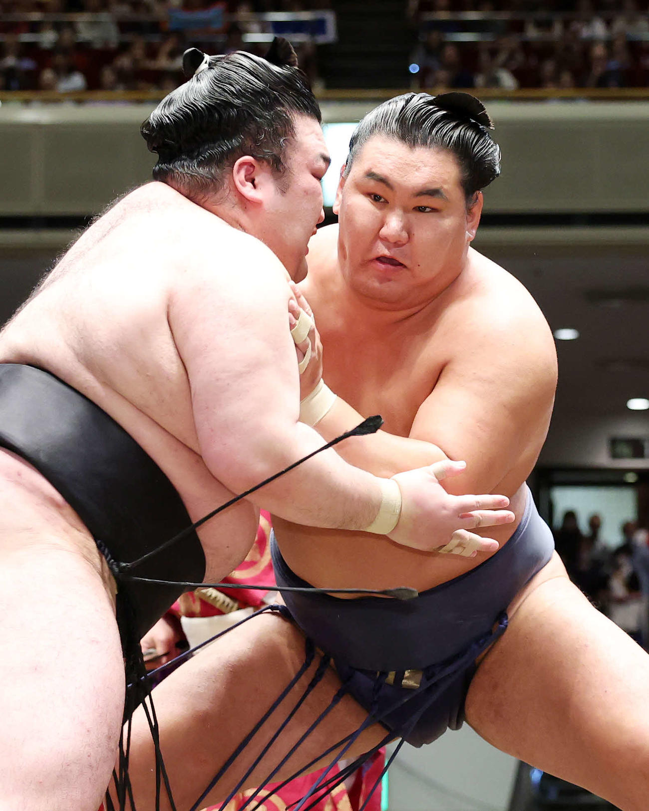 豪ノ山（左）を攻める豊昇龍（撮影・鈴木正人）