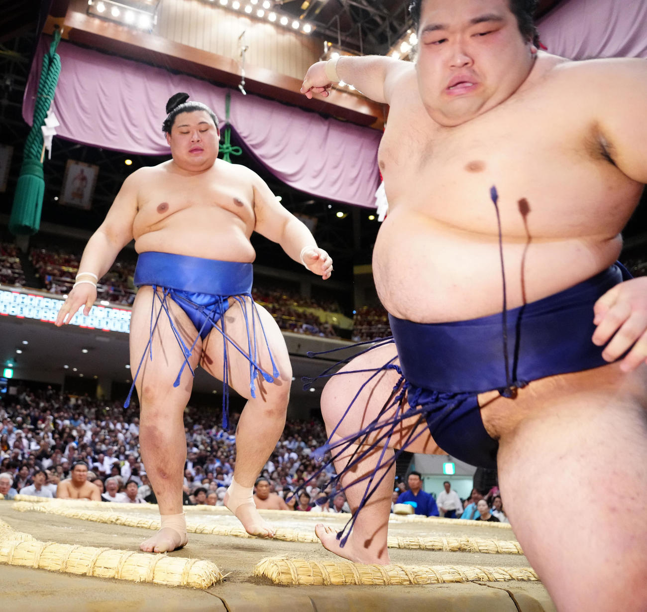 豪ノ山（右）を押し出しで破った大の里（撮影・江口和貴）