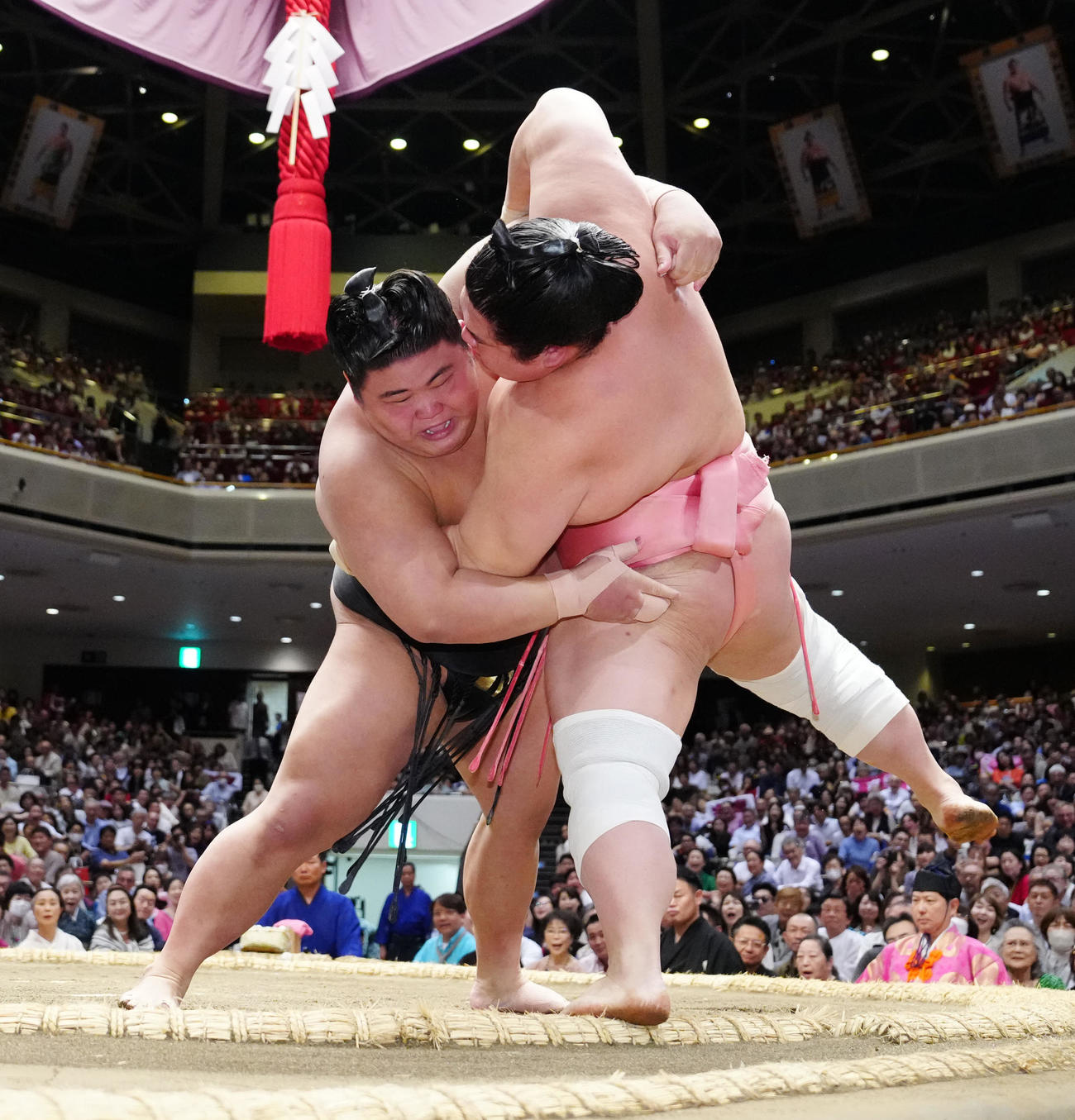 力強い相撲で宇良を寄り切り6連勝（撮影・江口和貴）