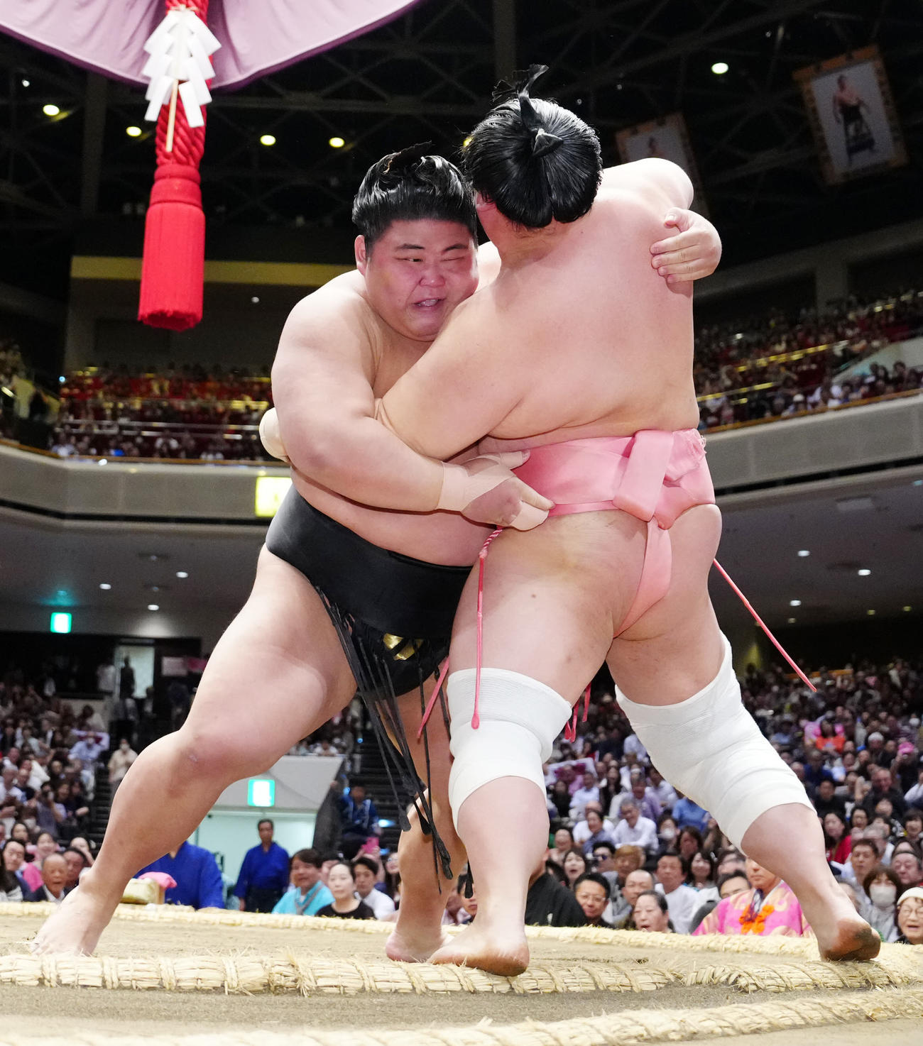 宇良（右）を寄り切りで破る伯桜鵬（撮影・江口和貴）