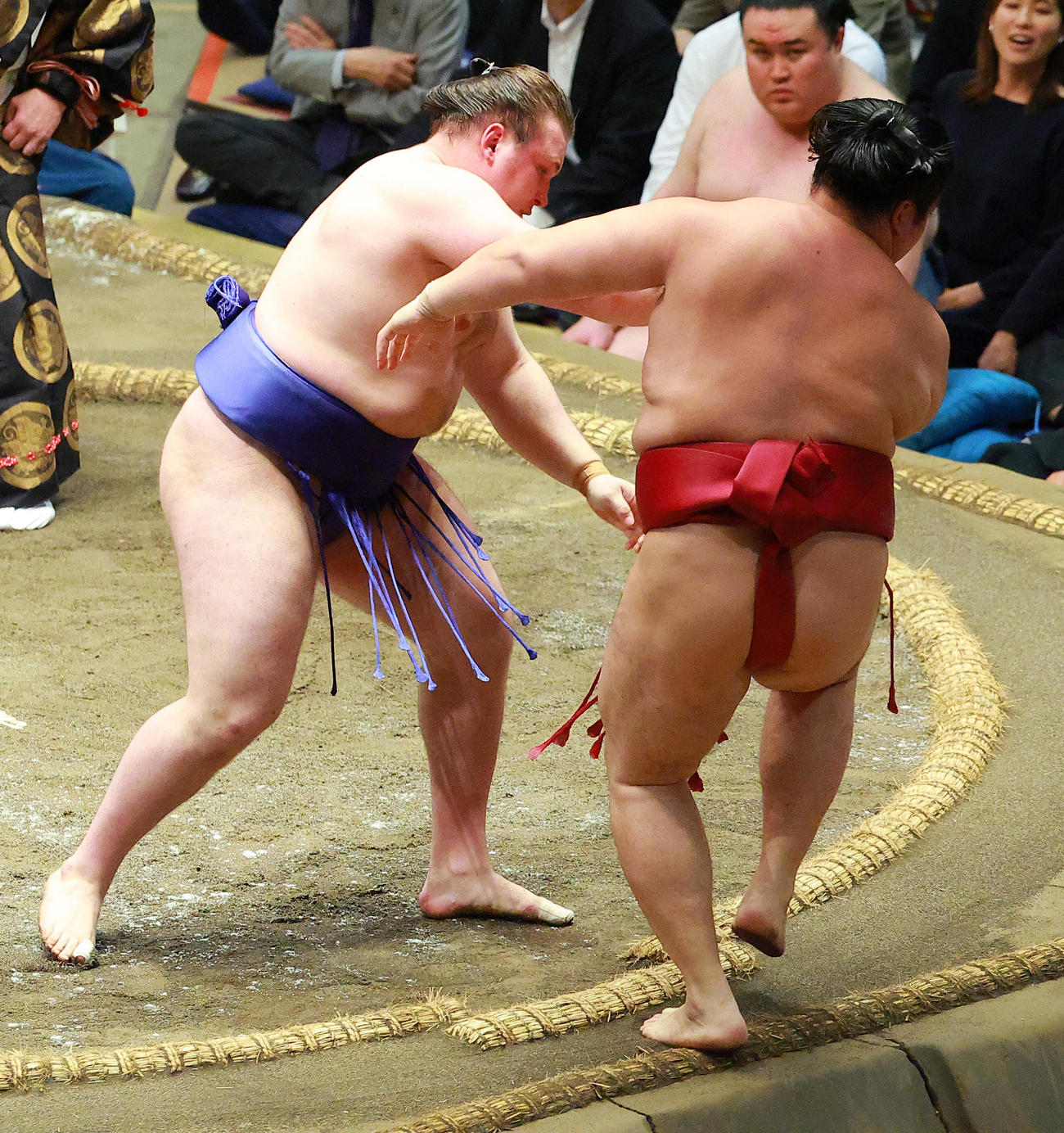 遠藤（右）を押し出しで破る安青錦（撮影・中島郁夫）