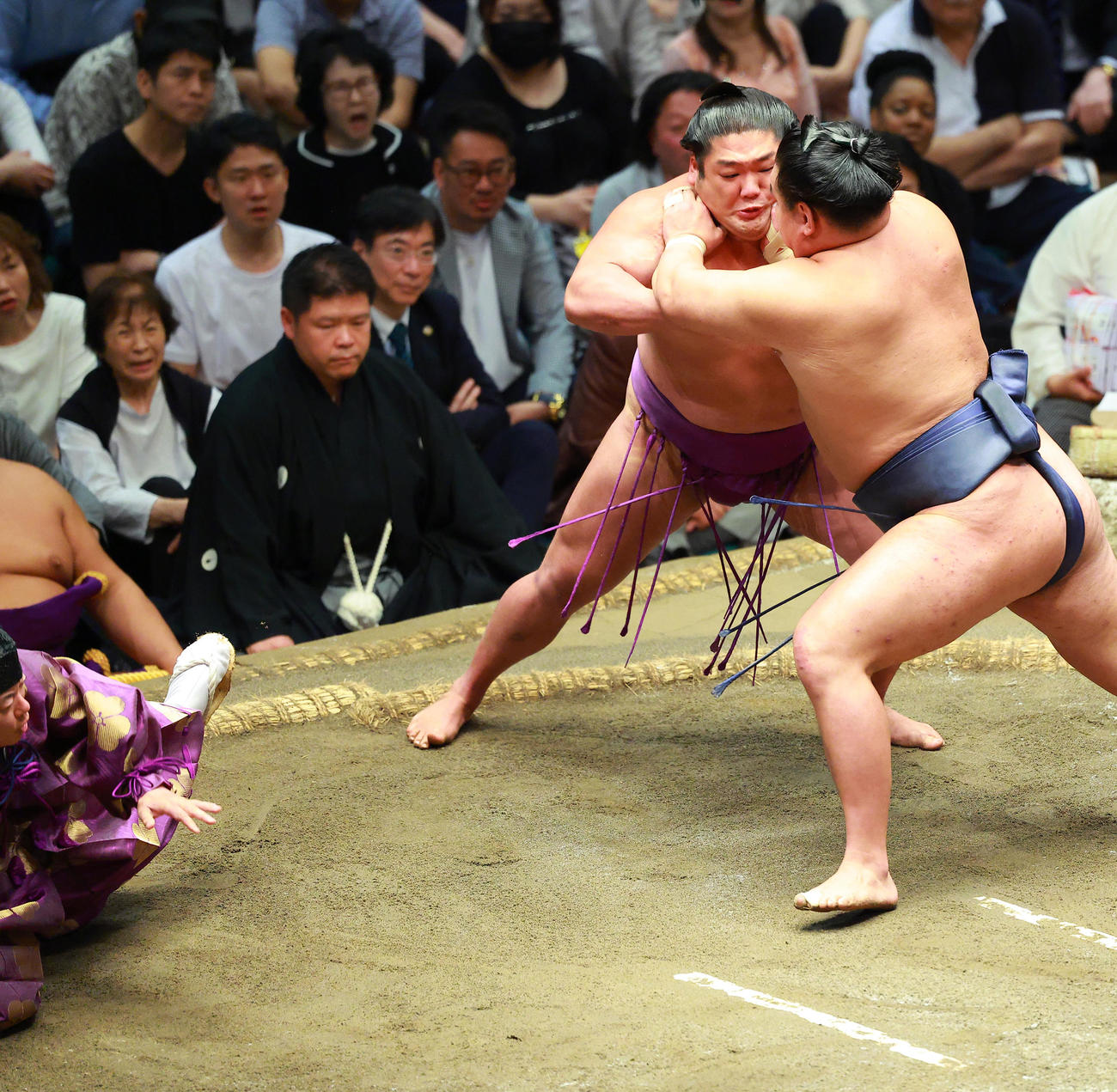 豊昇龍（右）と尊富士（中央）の取組中に転倒する行司の木村庄之助（撮影・中島郁夫）
